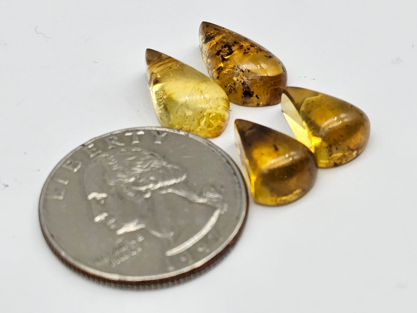 Amber authentic cabochon pair lot