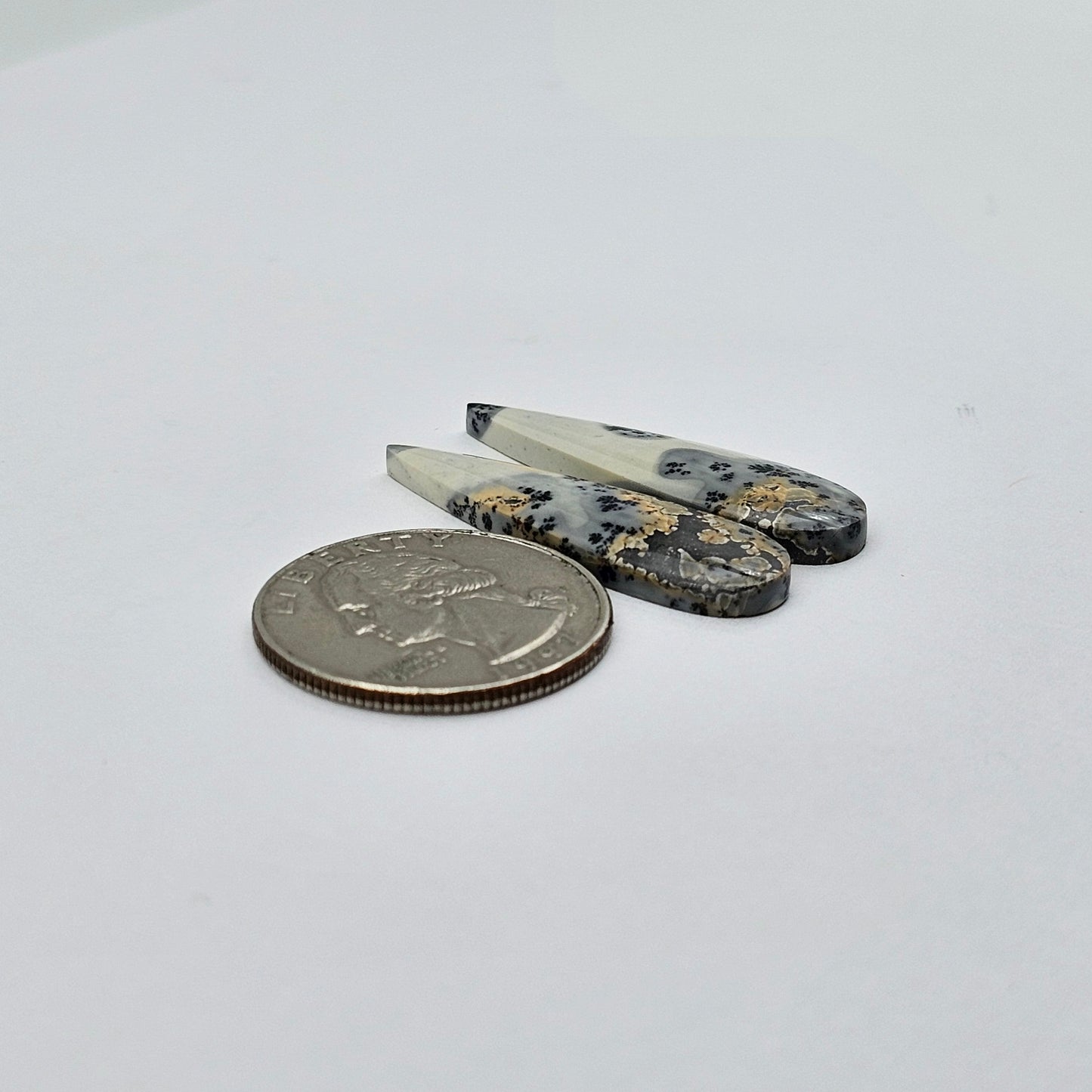 Maligano Jasper cabochon pair