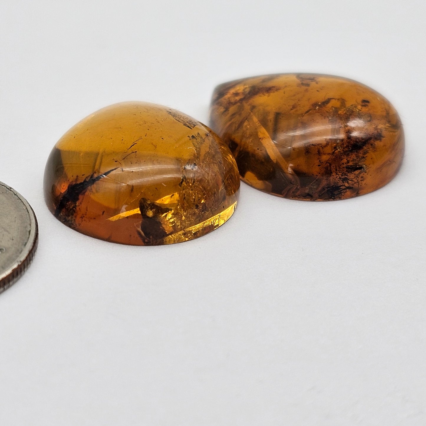 Amber authentic cabochon pair large