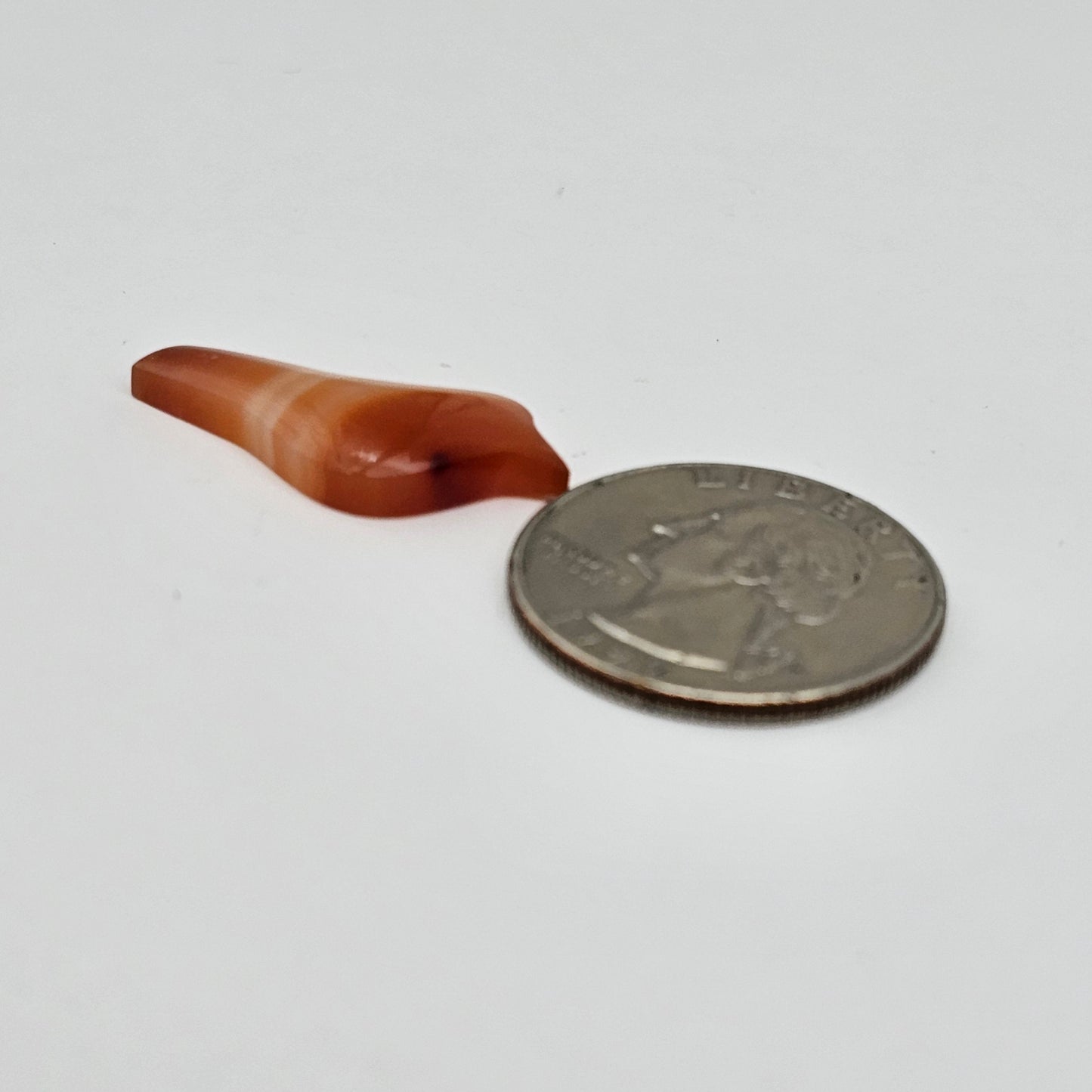 Carnelian Agate Bird Cabochon