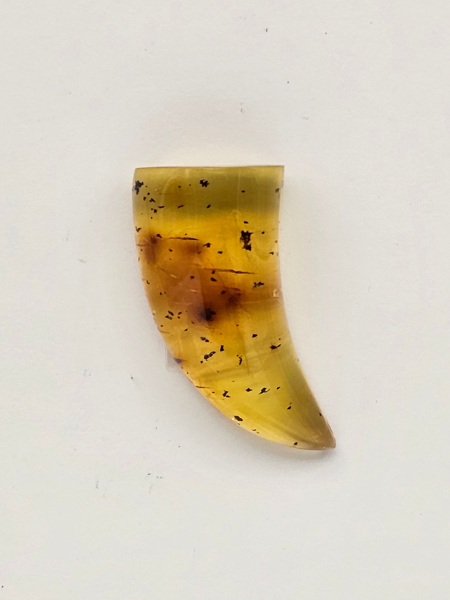 Amber authentic cabochon large