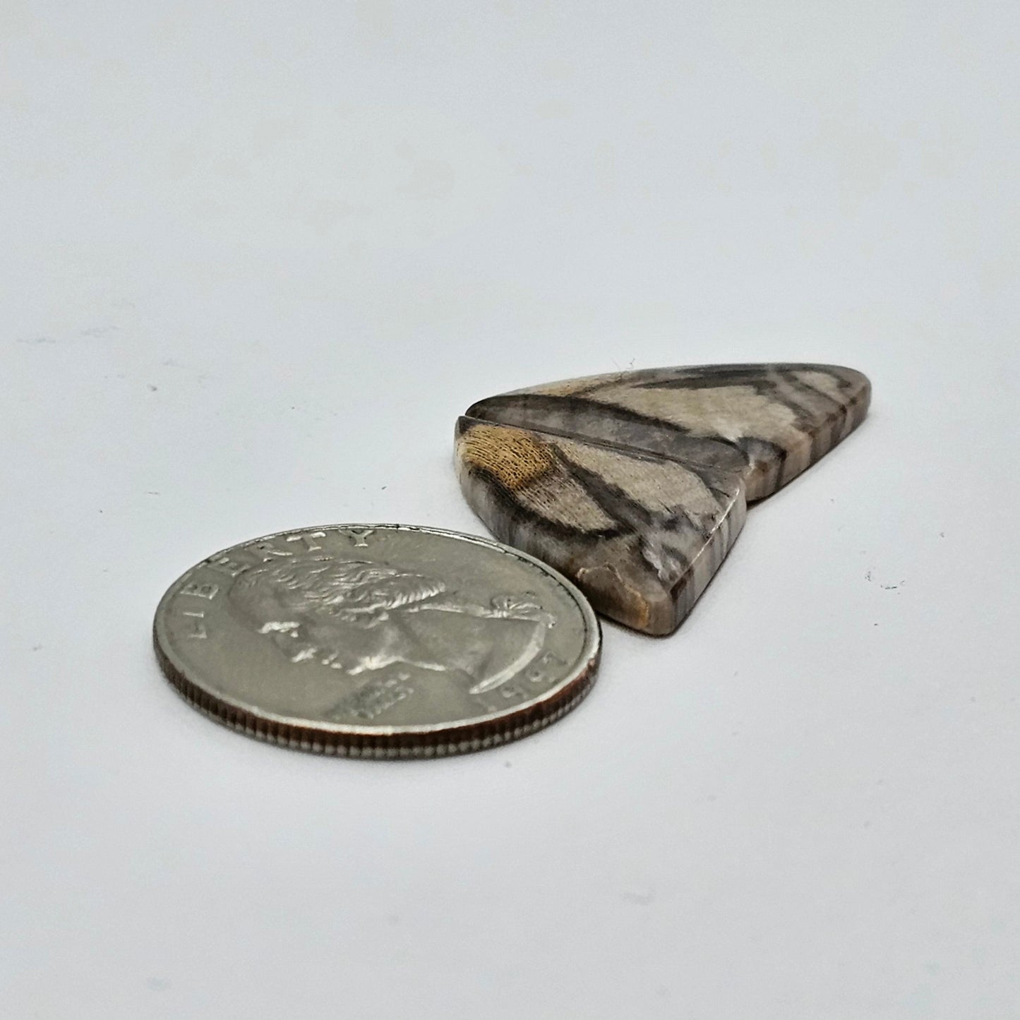 Dino Bone agate cabochon pair