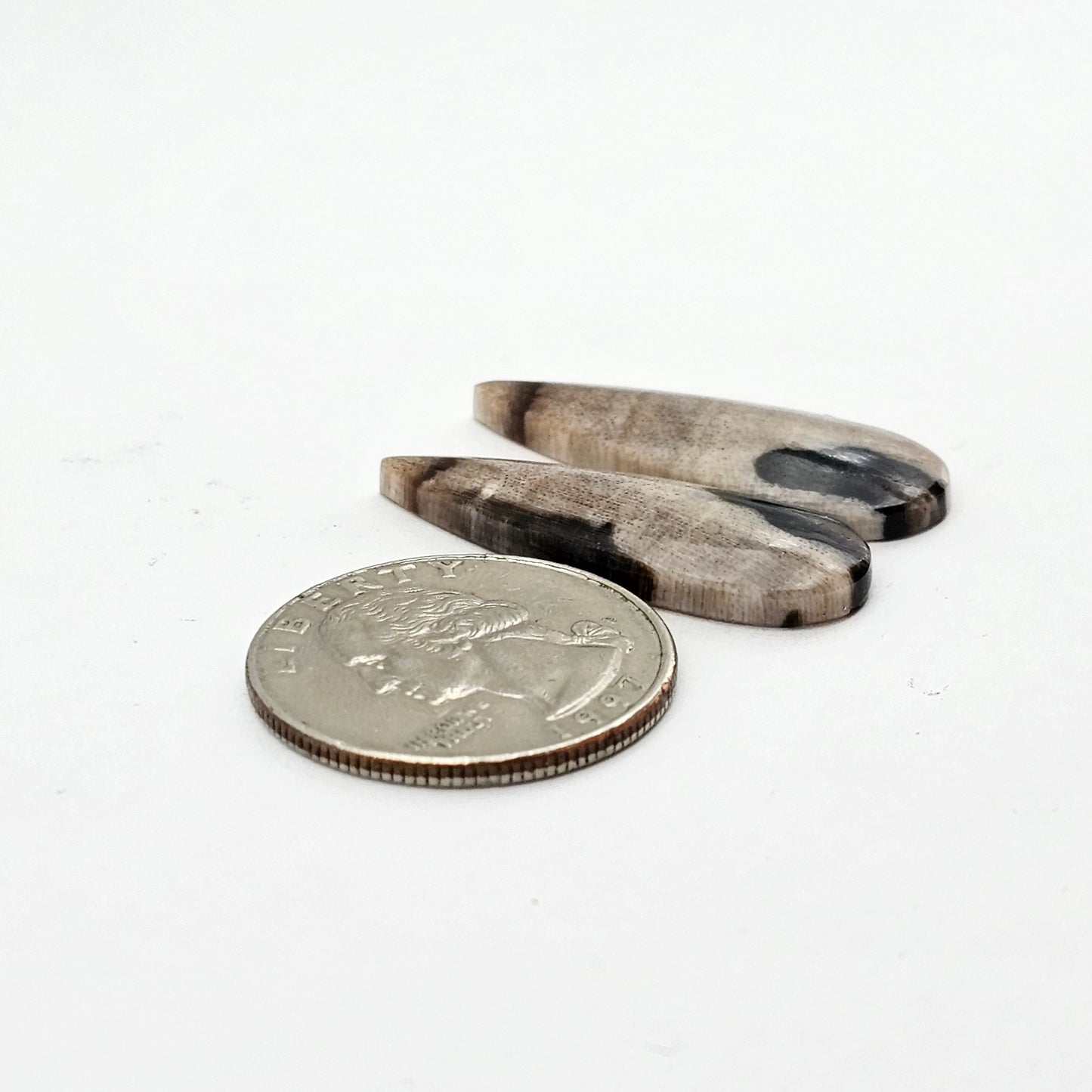 Dino Bone agate cabochon pair