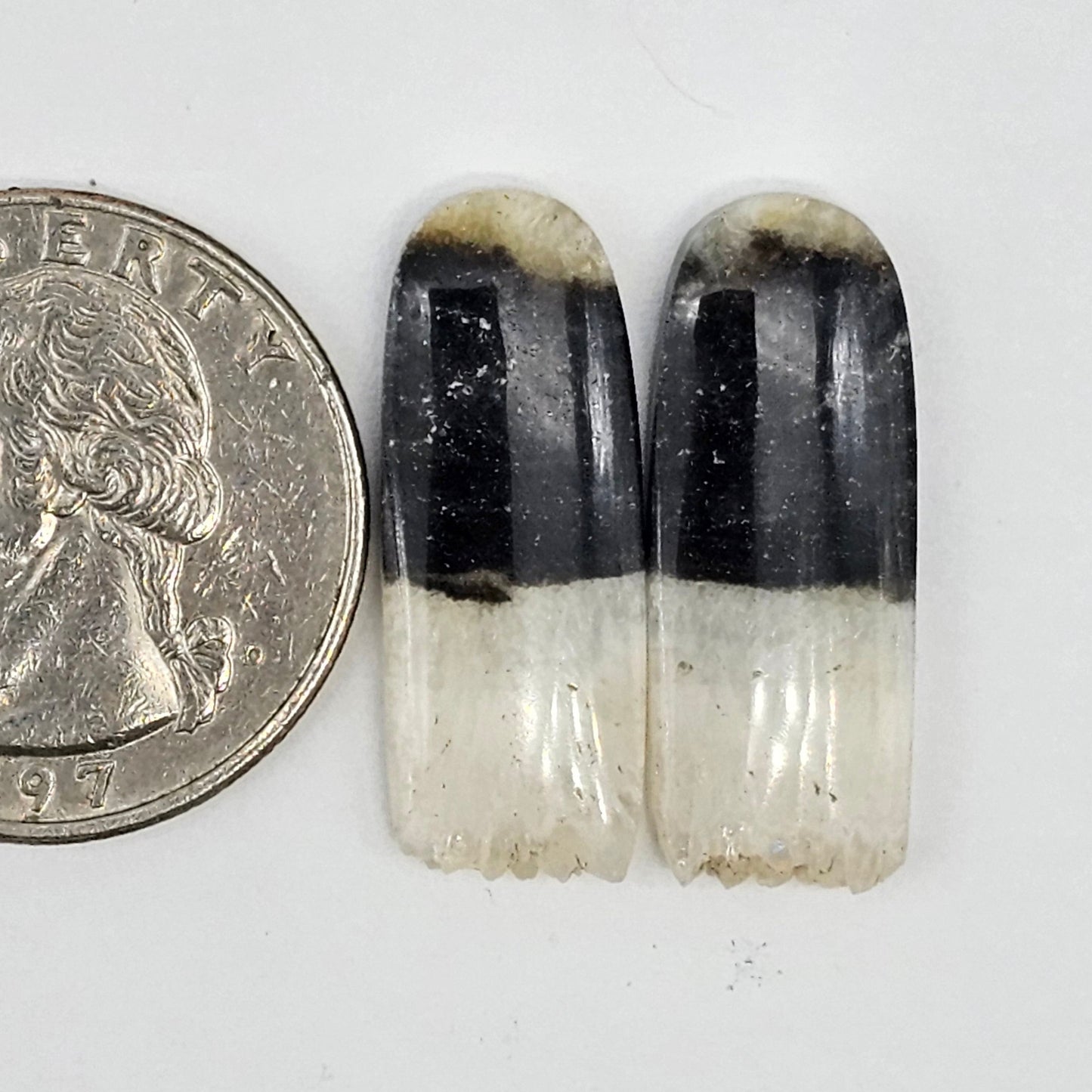 Yin Yang Agate Cabochon Pair