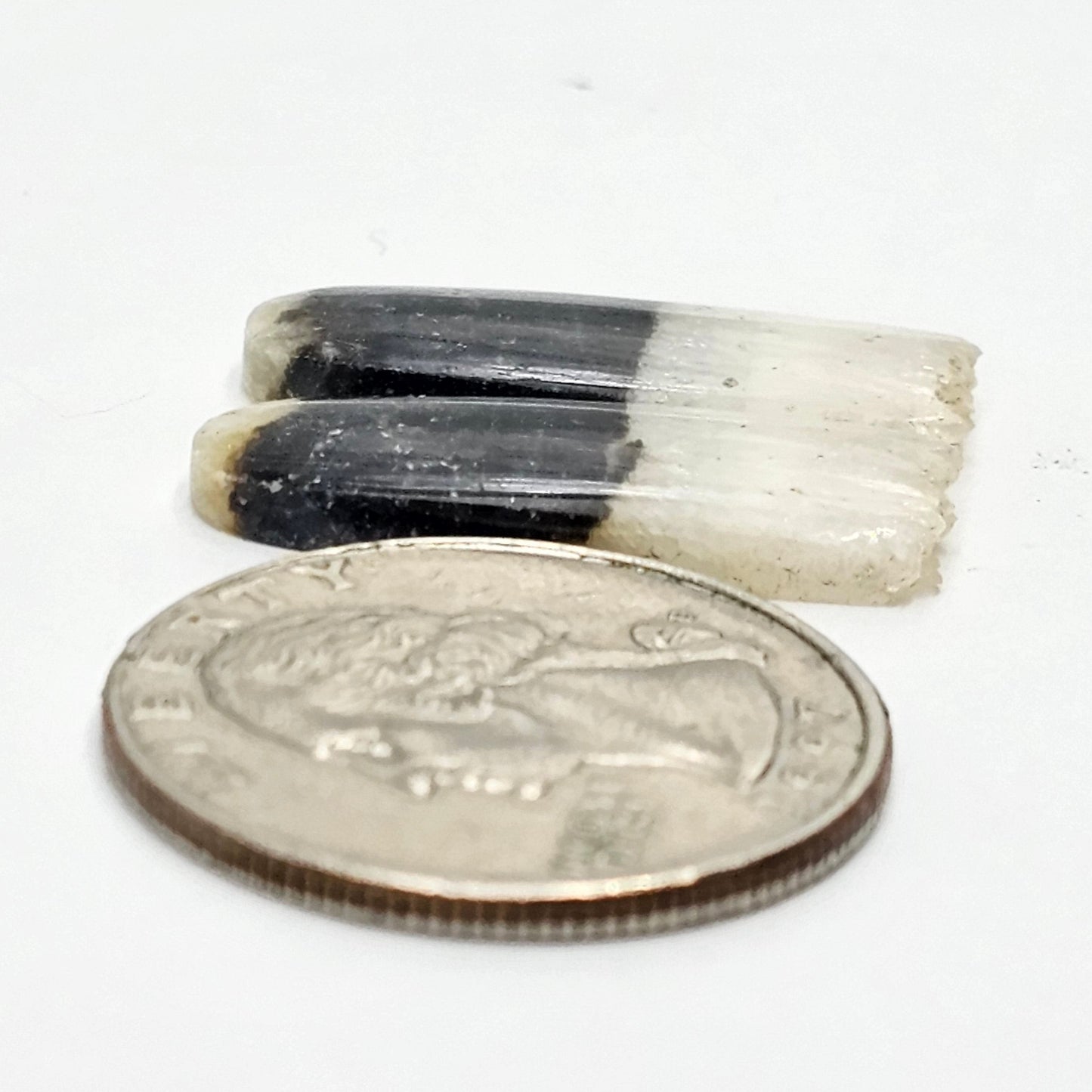 Yin Yang Agate Cabochon Pair