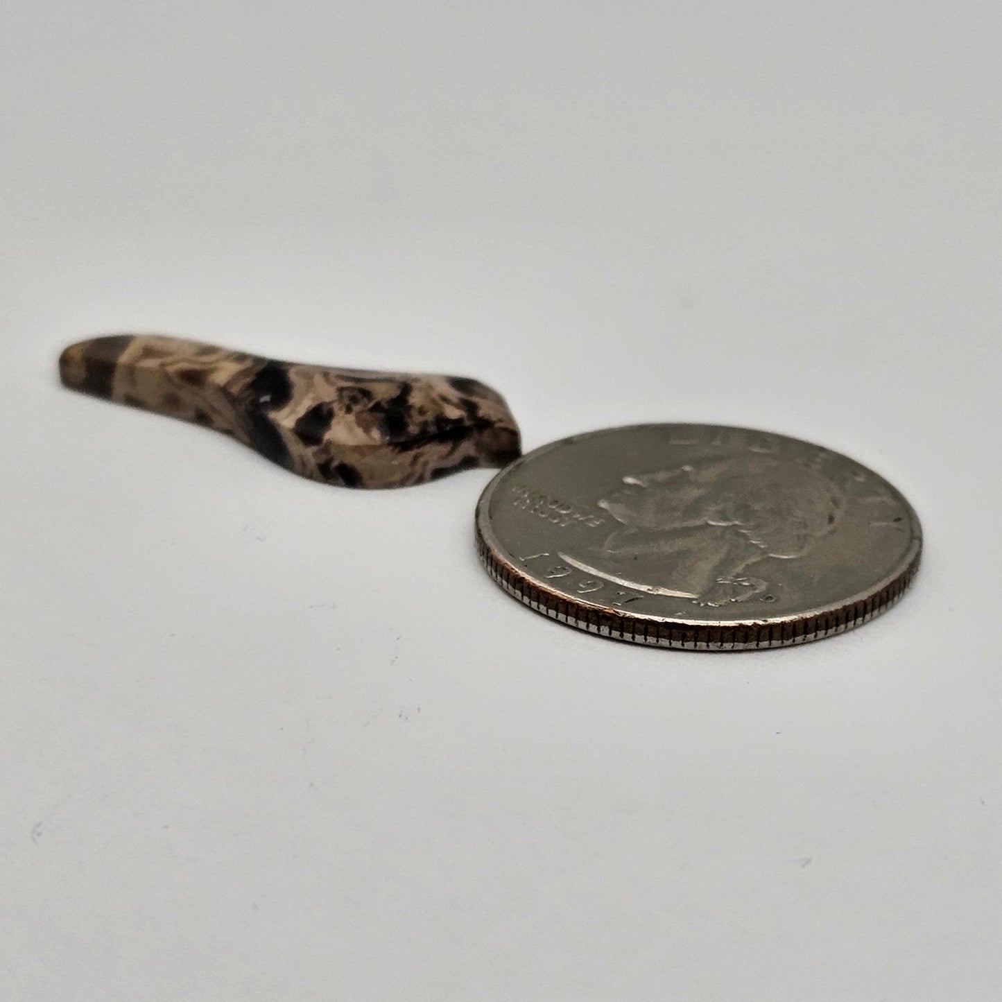 Petrified Palm Root Bird Cabochon