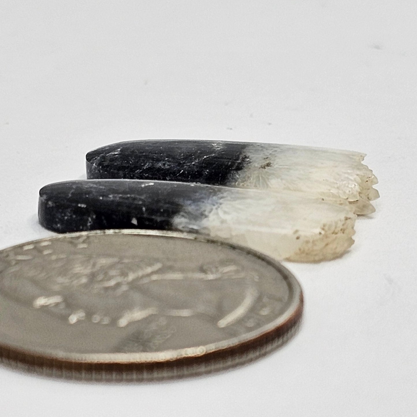 Yin Yang Agate Cabochon Pair