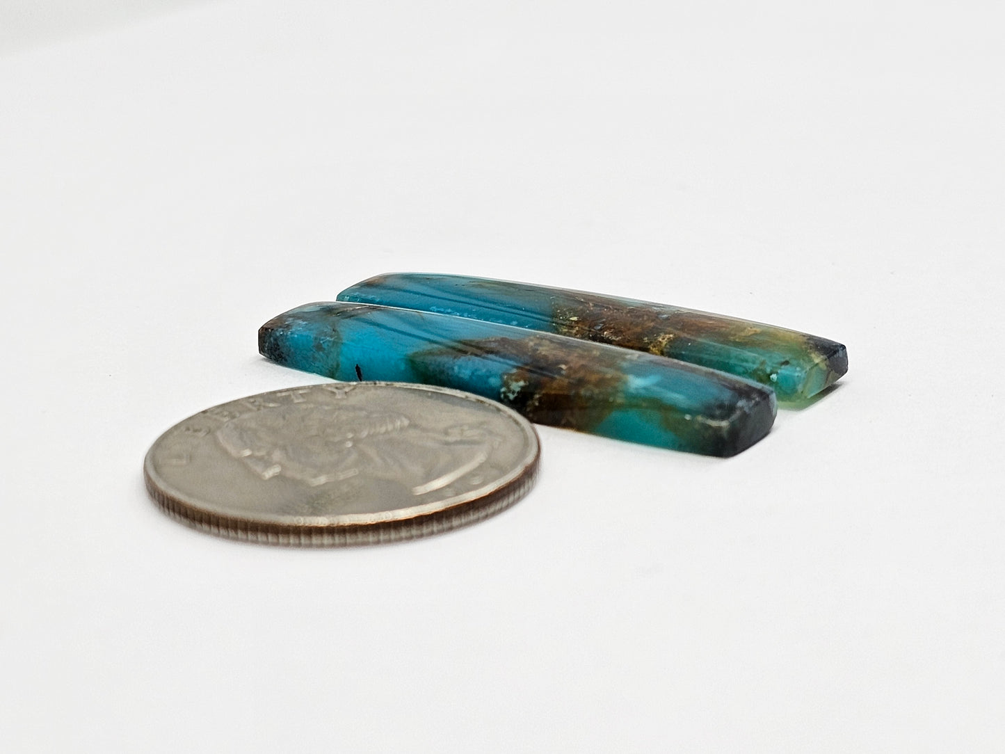 Blue Opal Petrified Wood Cabochon Pair
