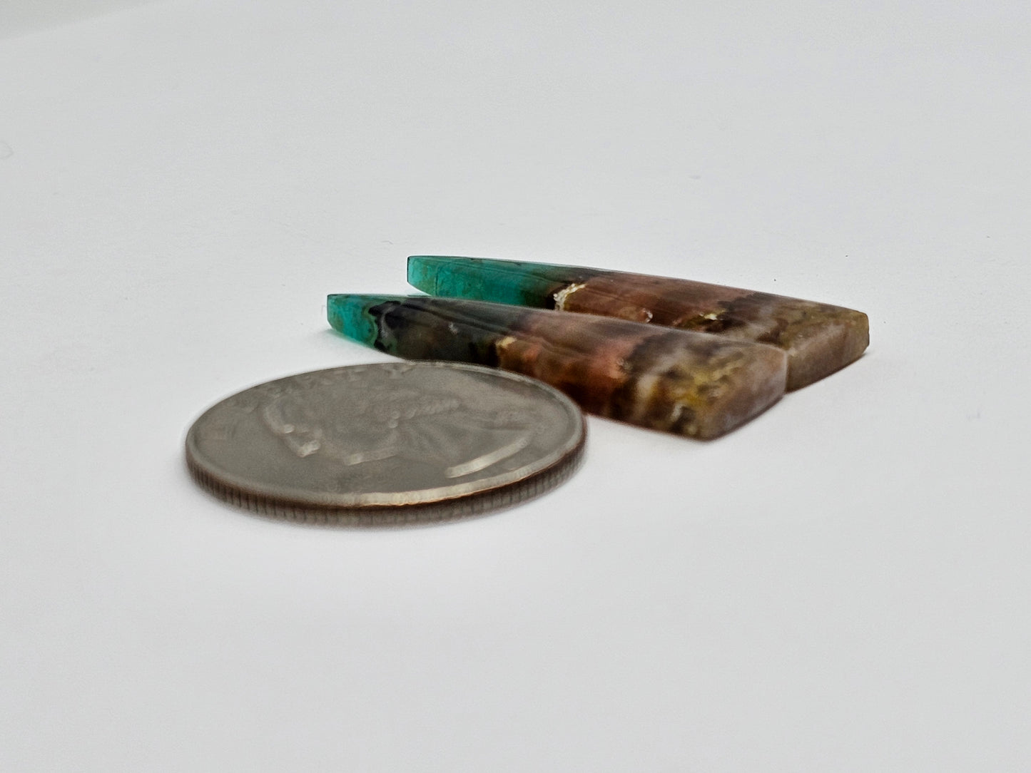 Blue Opal Petrified Wood Cabochon Pair