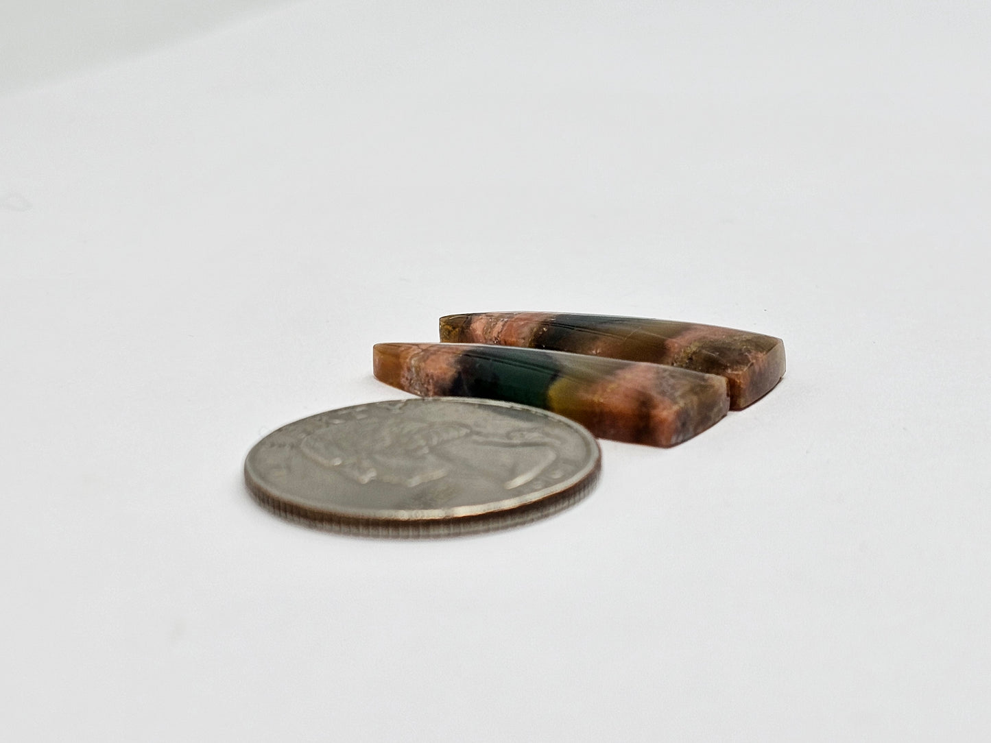 Blue Opal Petrified Wood Cabochon Pair