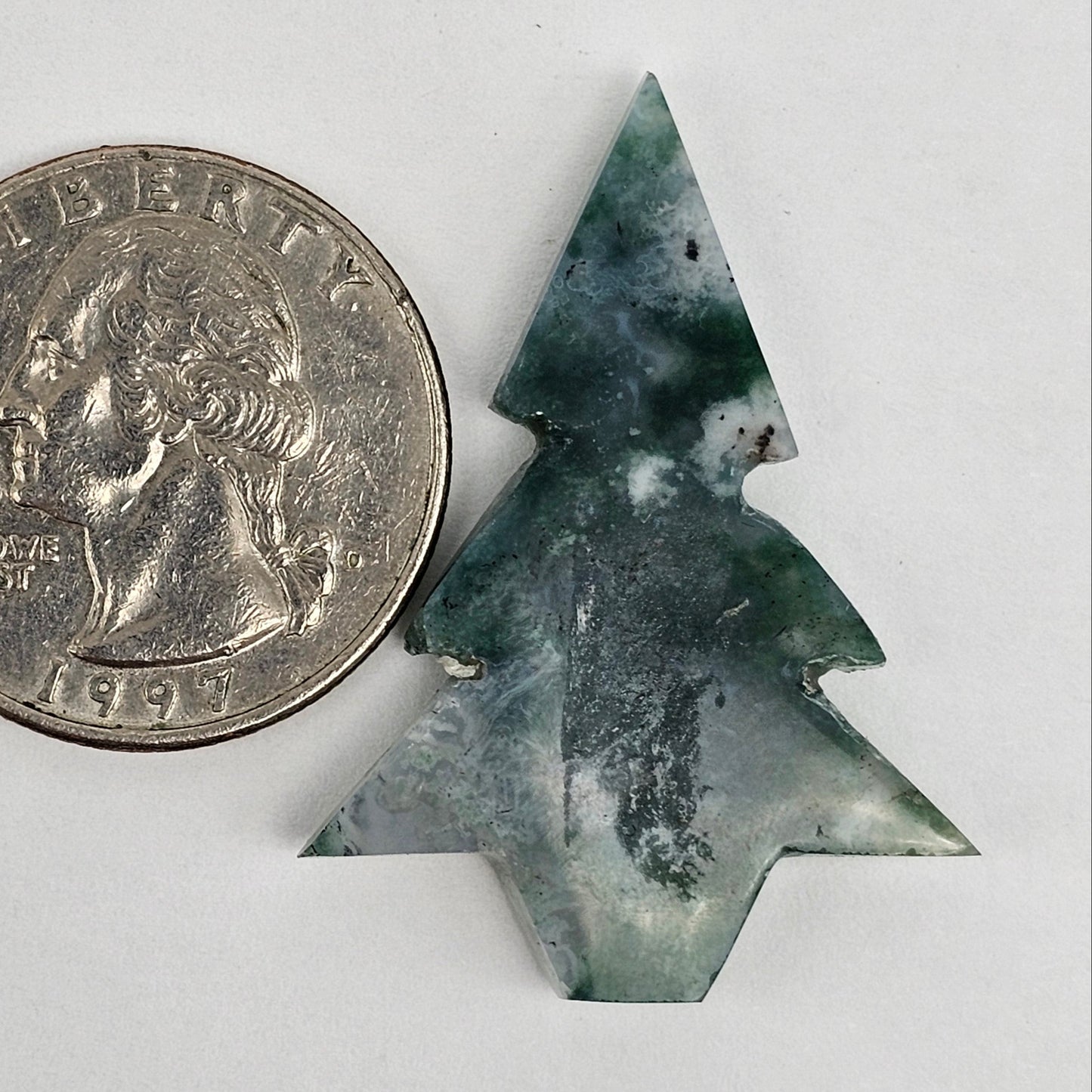 Moss Agate Tree Cabochon
