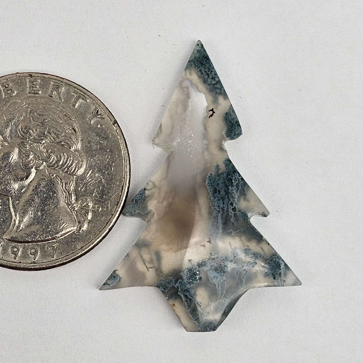 Moss Agate Tree Cabochon