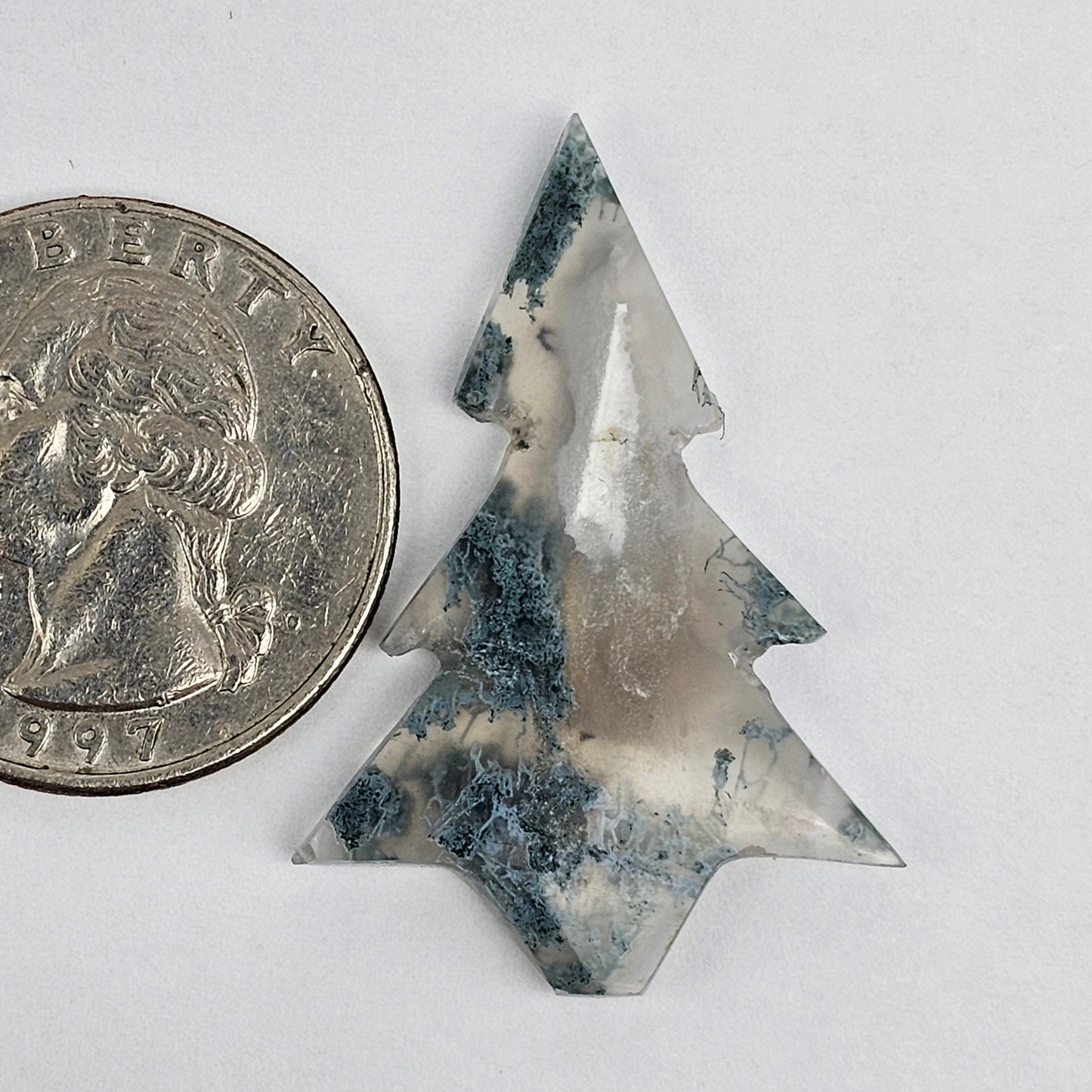 Moss Agate Tree Cabochon