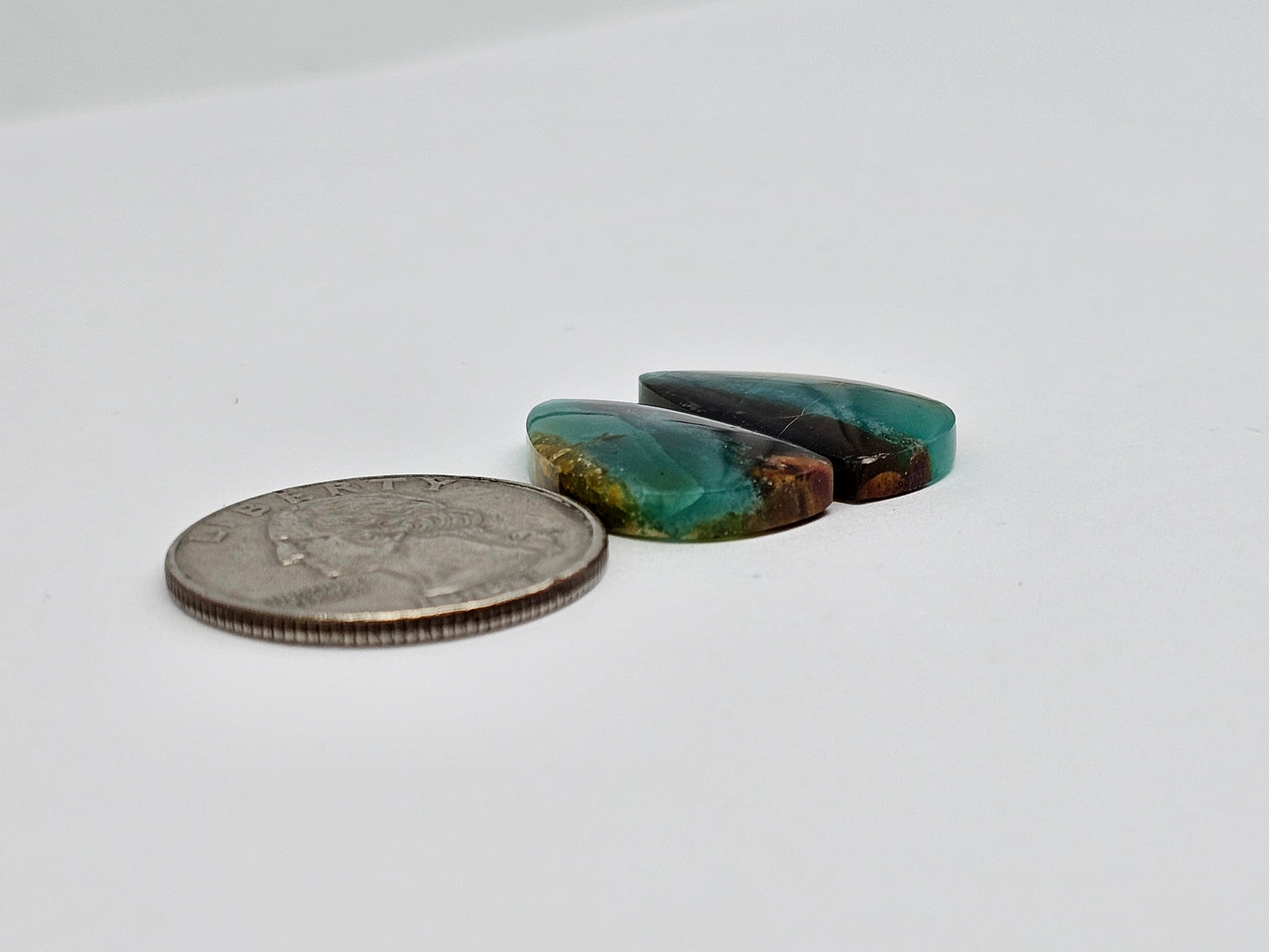 Blue Opal Petrified Wood Cabochon Pair