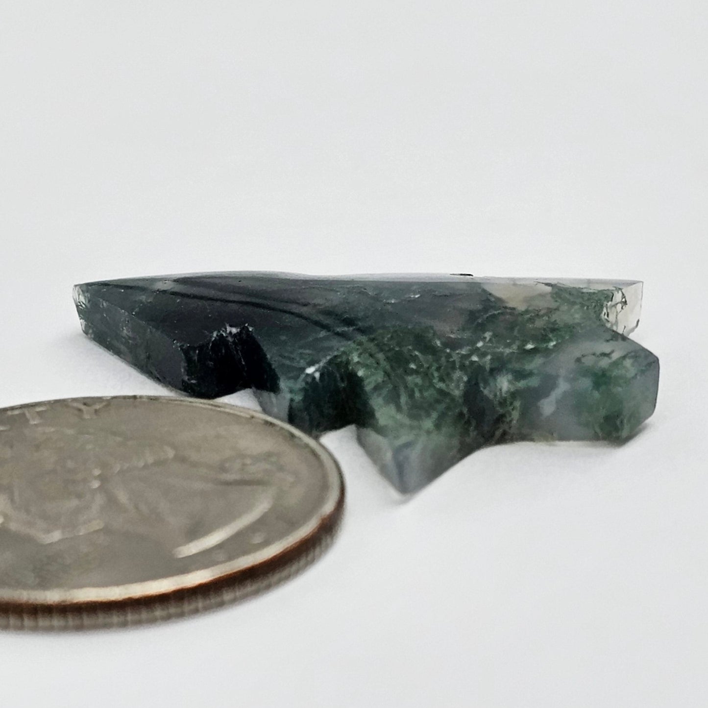 Moss Agate Tree Cabochon