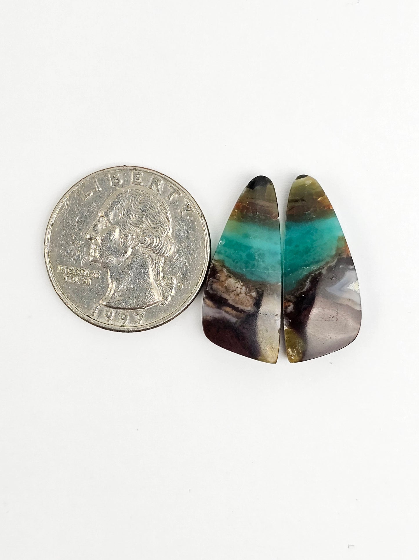 Blue Opal Petrified Wood Cabochon Pair
