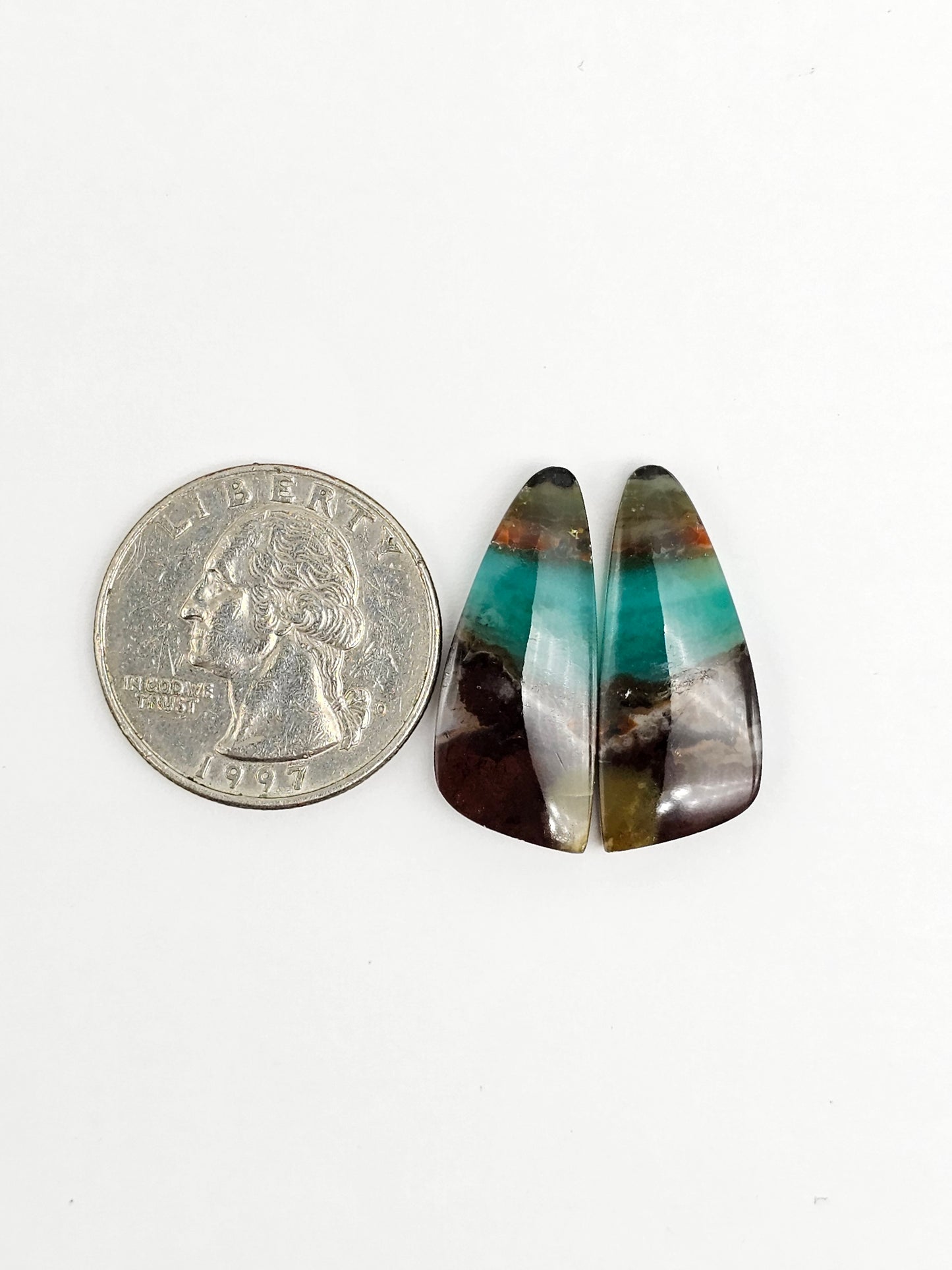 Blue Opal Petrified Wood Cabochon Pair
