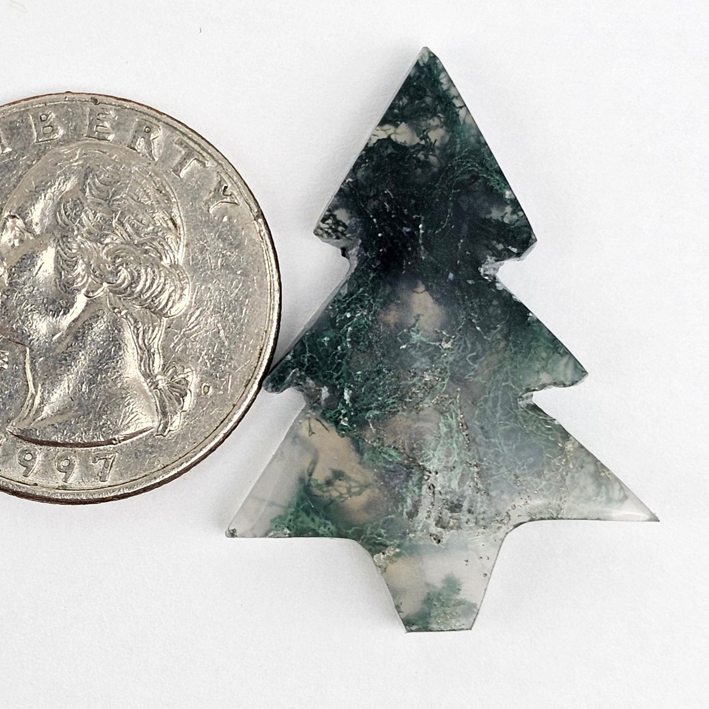 Moss Agate Tree Cabochon