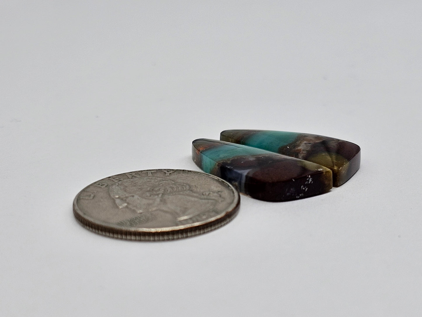 Blue Opal Petrified Wood Cabochon Pair