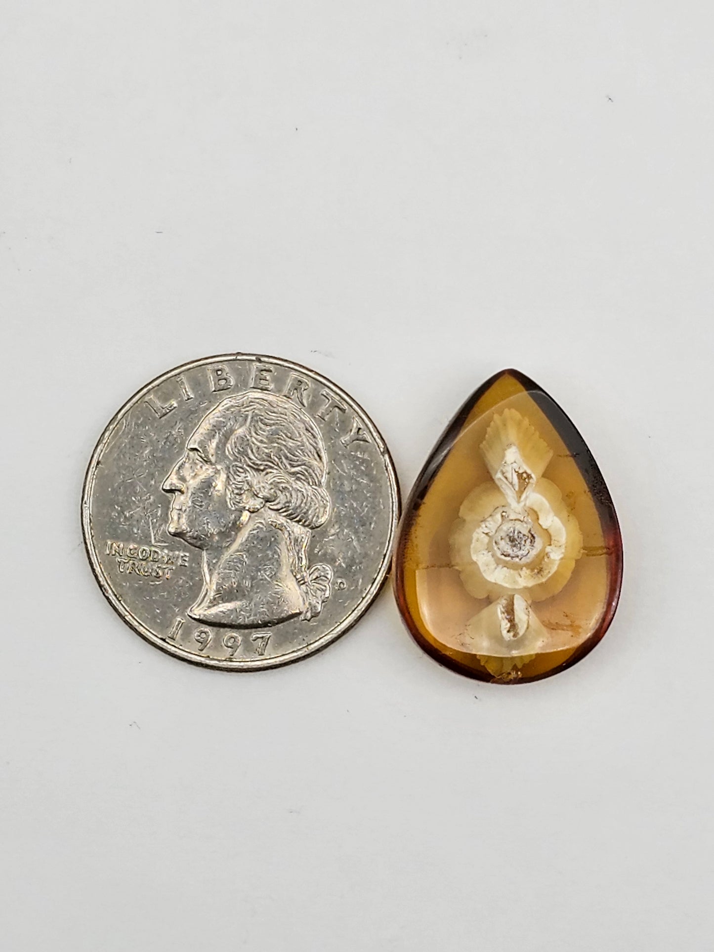 Amber authentic intaglio cabochon large