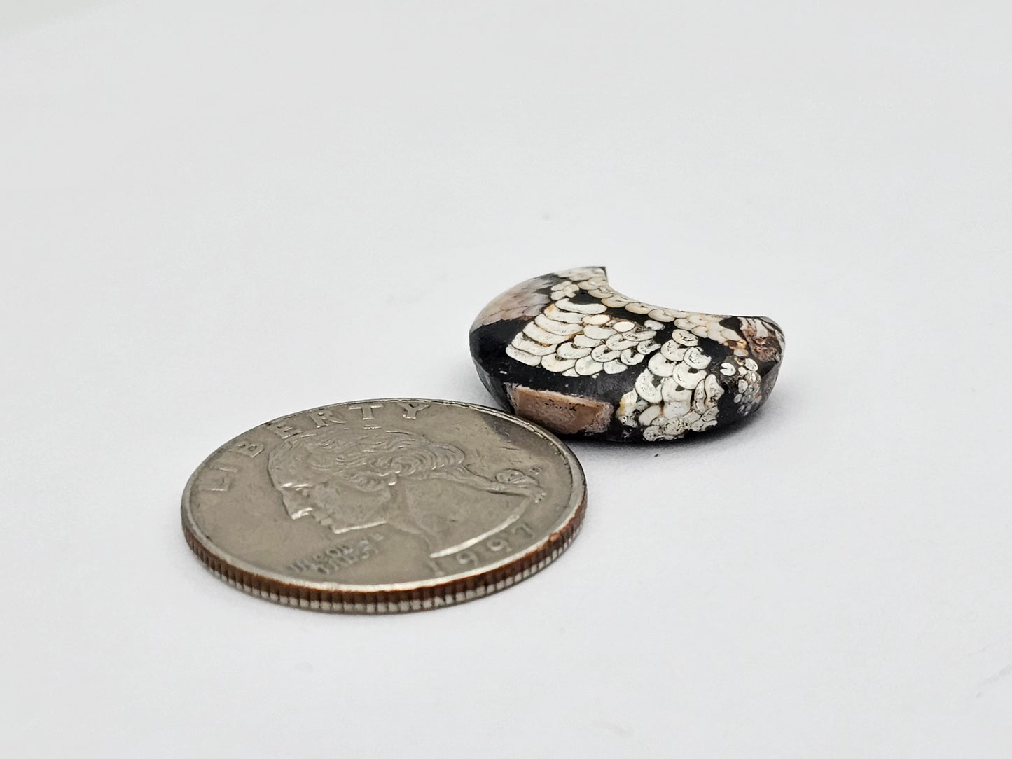 Snake skin agate moon cabochon