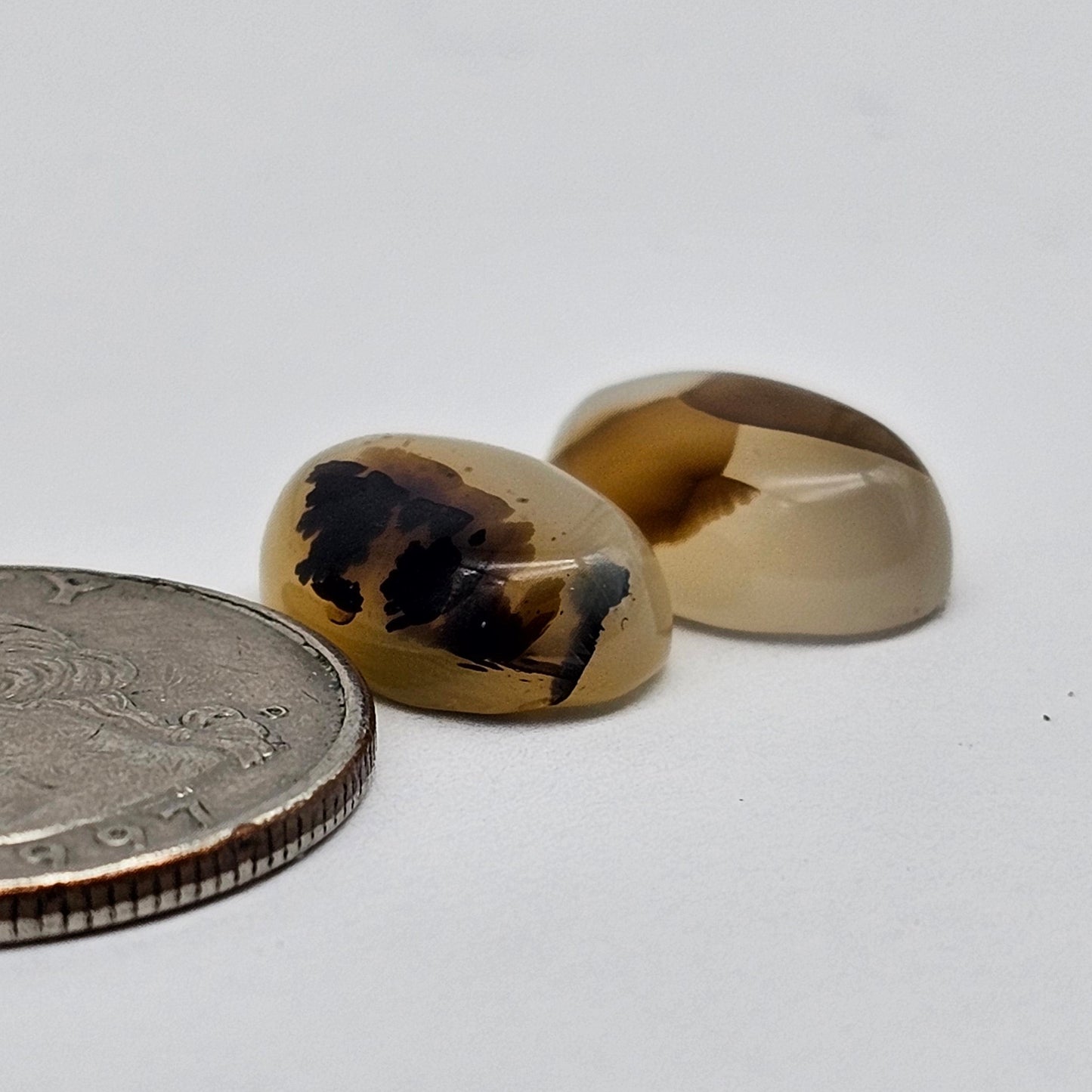 Montana Agate Cabochon Set