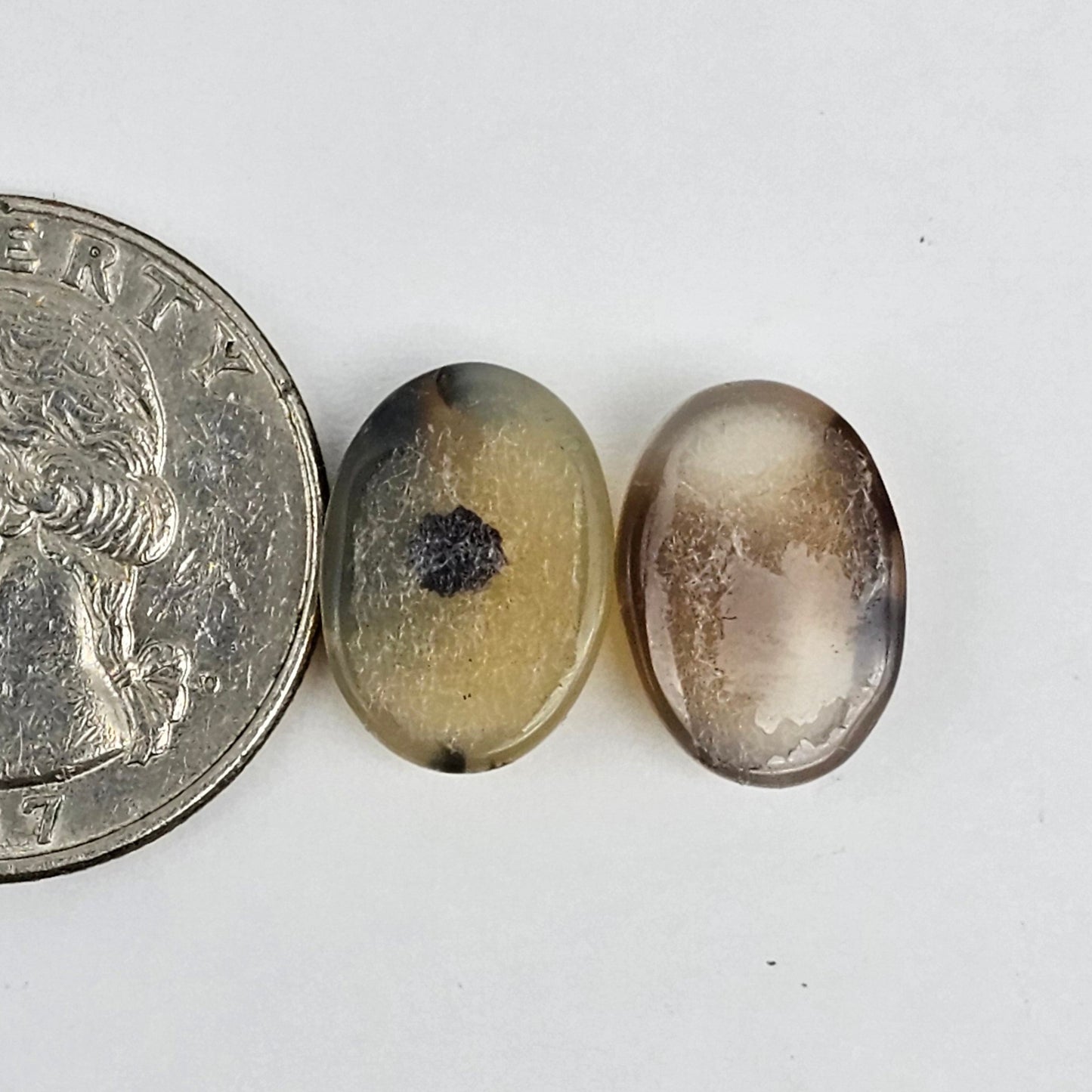 Montana Agate Cabochon Set