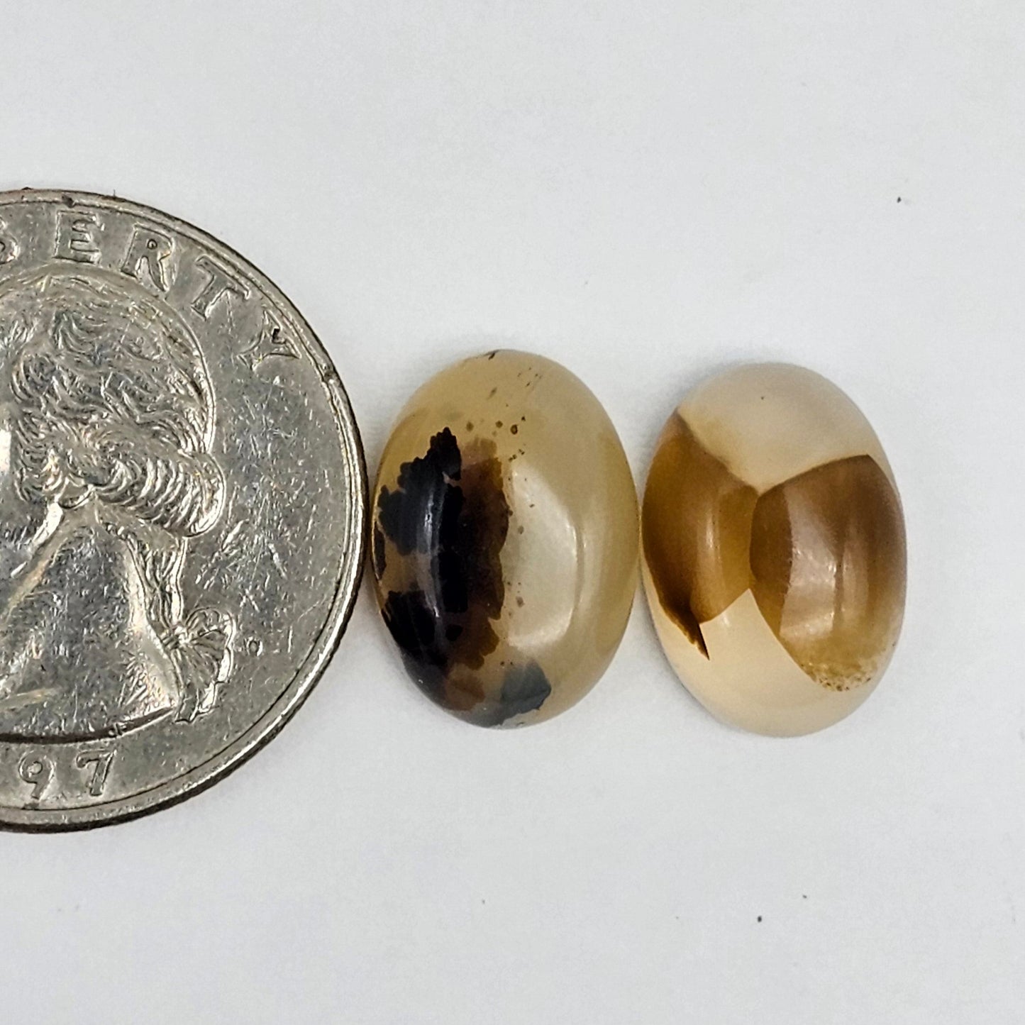 Montana Agate Cabochon Set