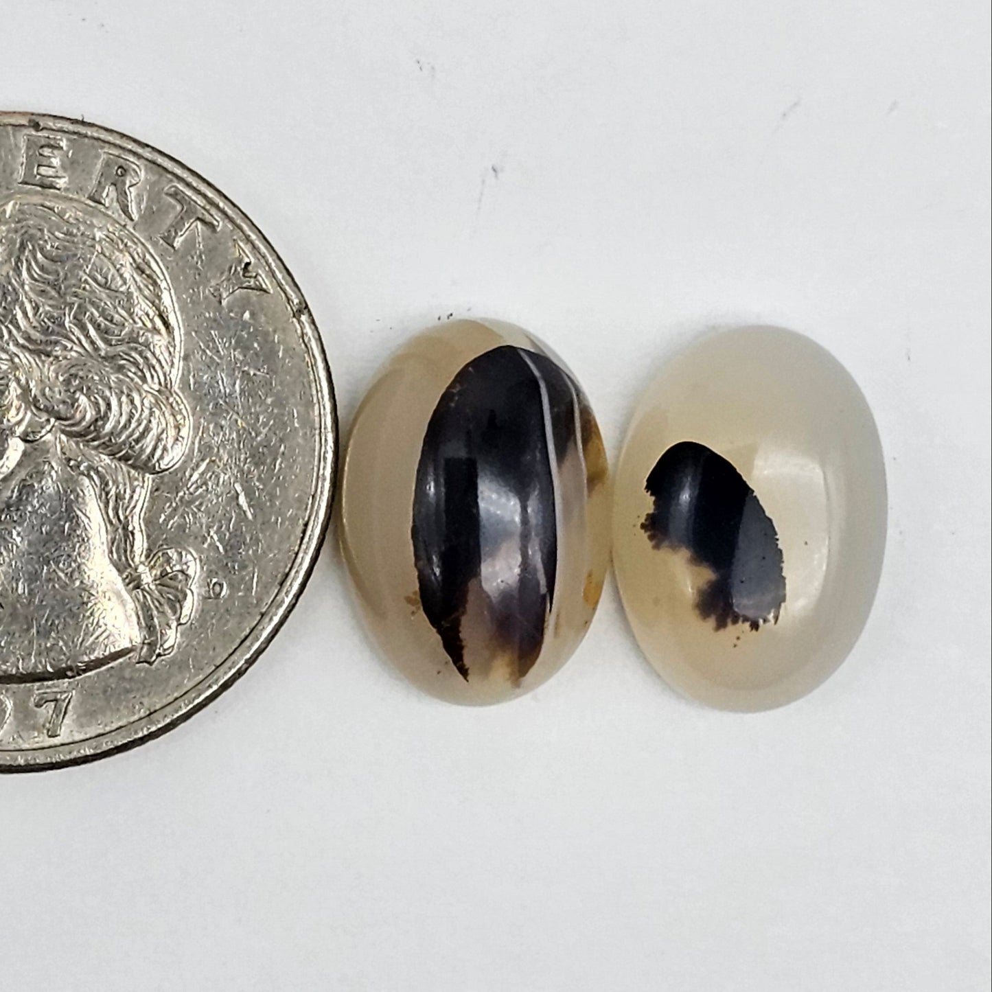 Montana Agate Cabochon Set