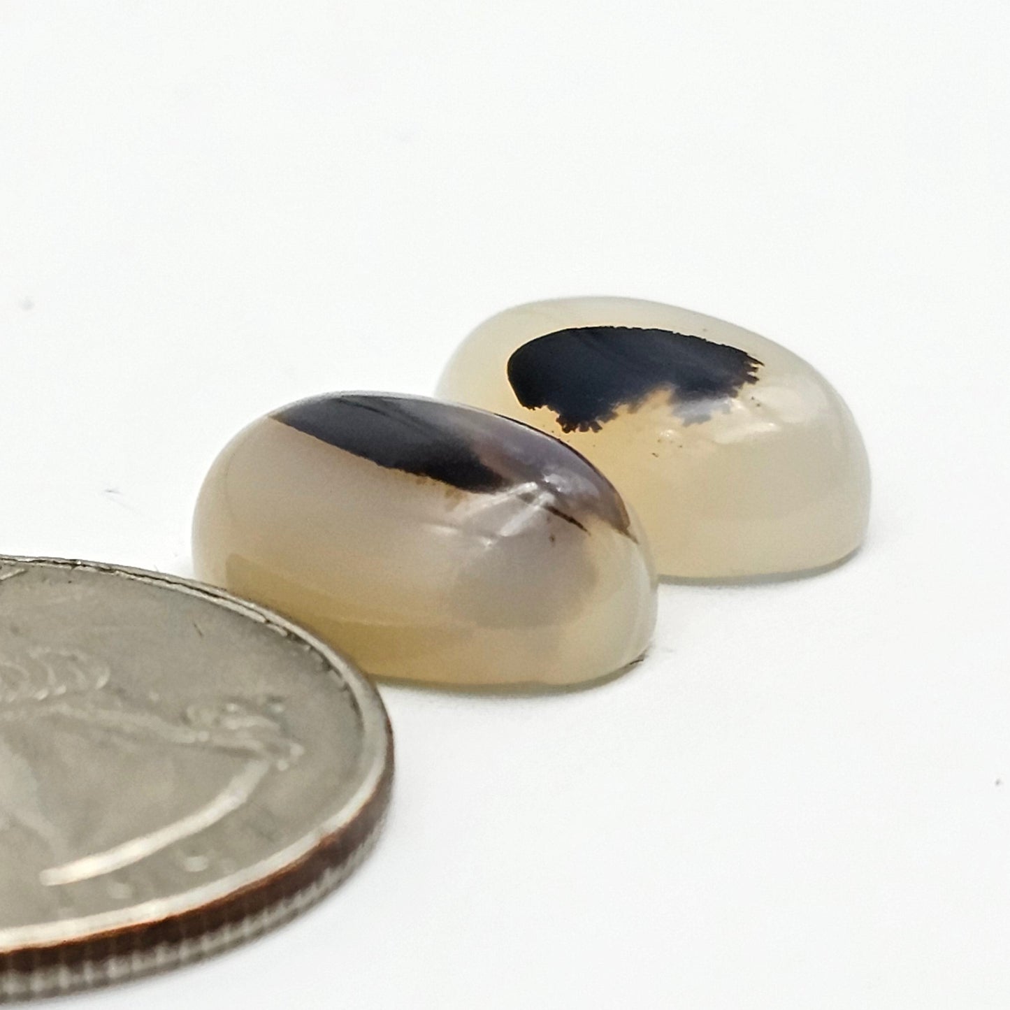 Montana Agate Cabochon Set