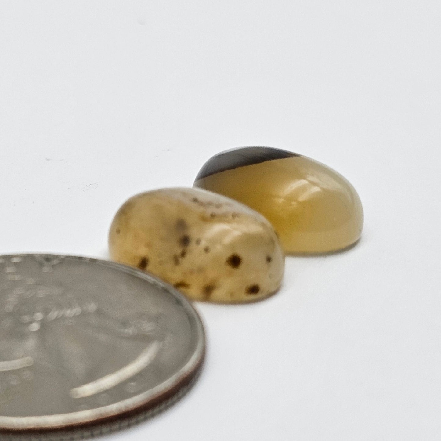 Montana Agate Cabochon Set