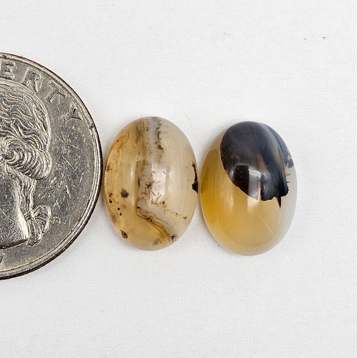Montana Agate Cabochon Set