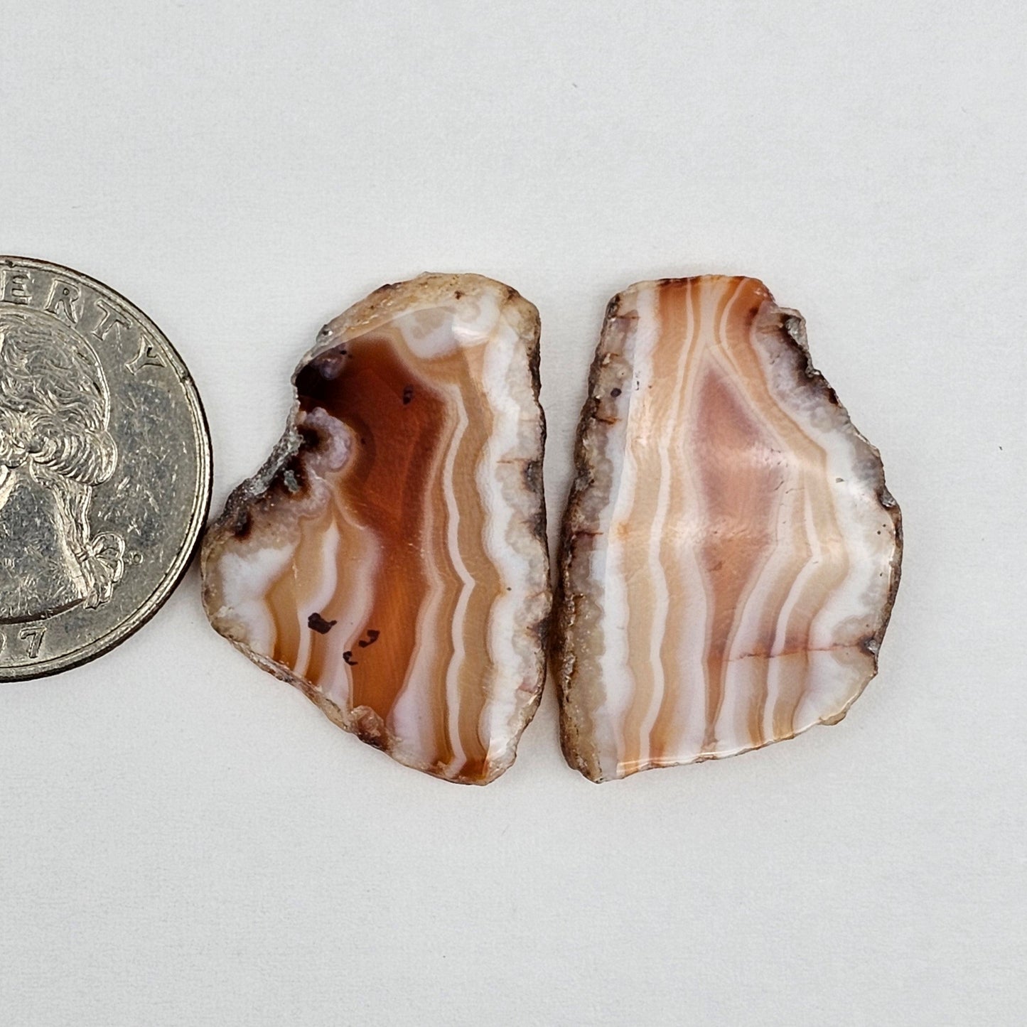 Carnelian Agate Cabochon Pair
