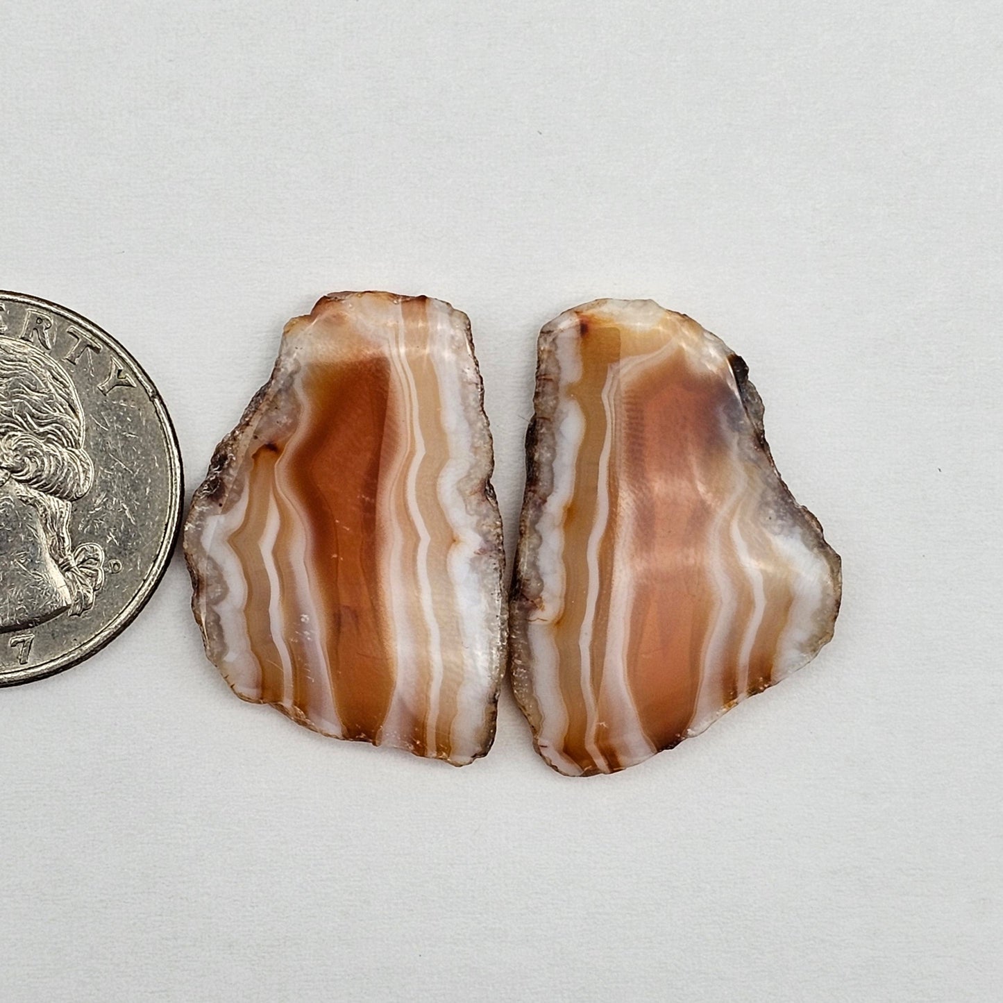 Carnelian Agate Cabochon Pair