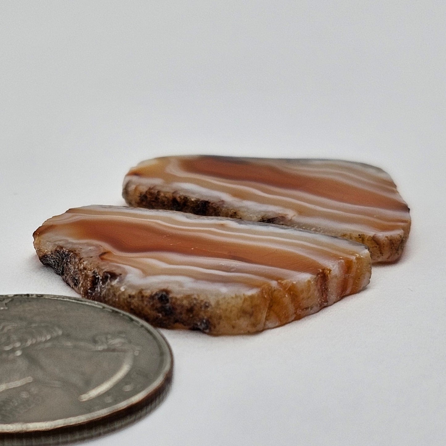 Carnelian Agate Cabochon Pair