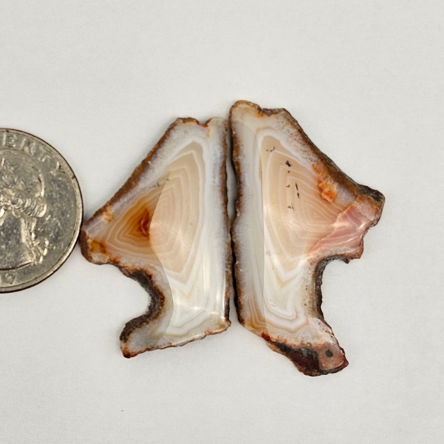Carnelian Agate Cabochon Pair