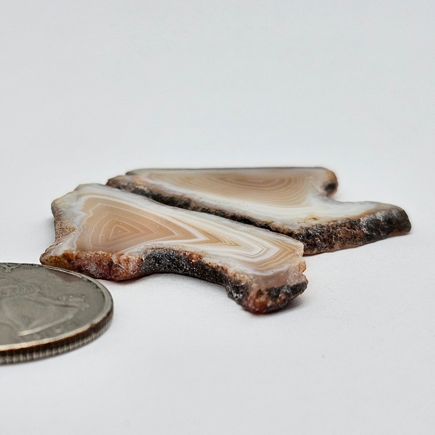 Carnelian Agate Cabochon Pair