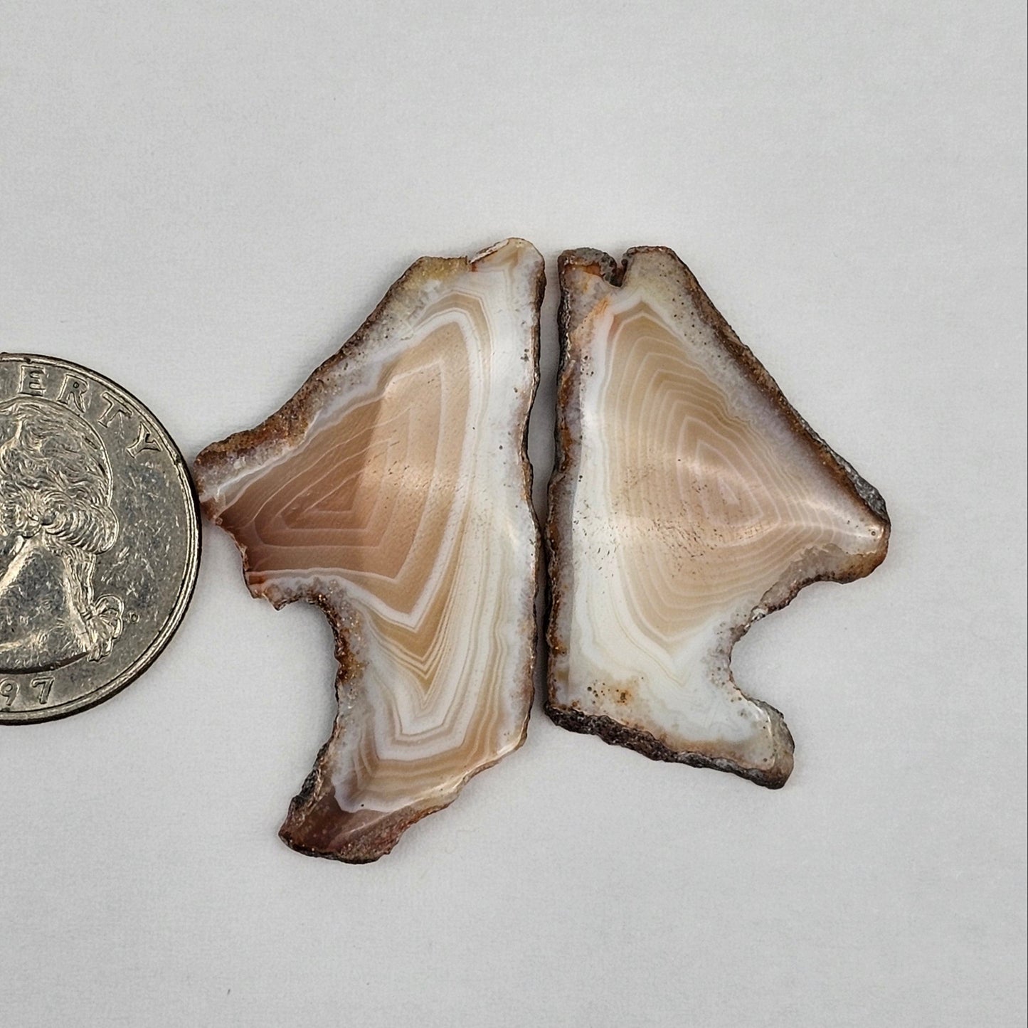 Carnelian Agate Cabochon Pair
