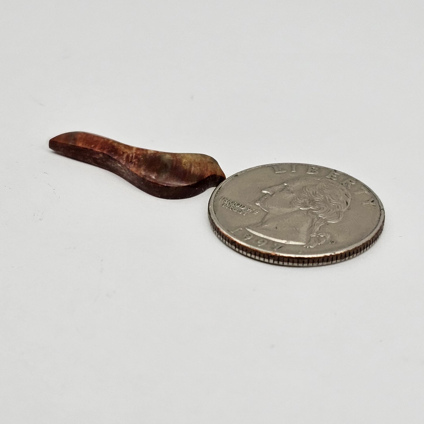Petrified Wood Bird Cabochon