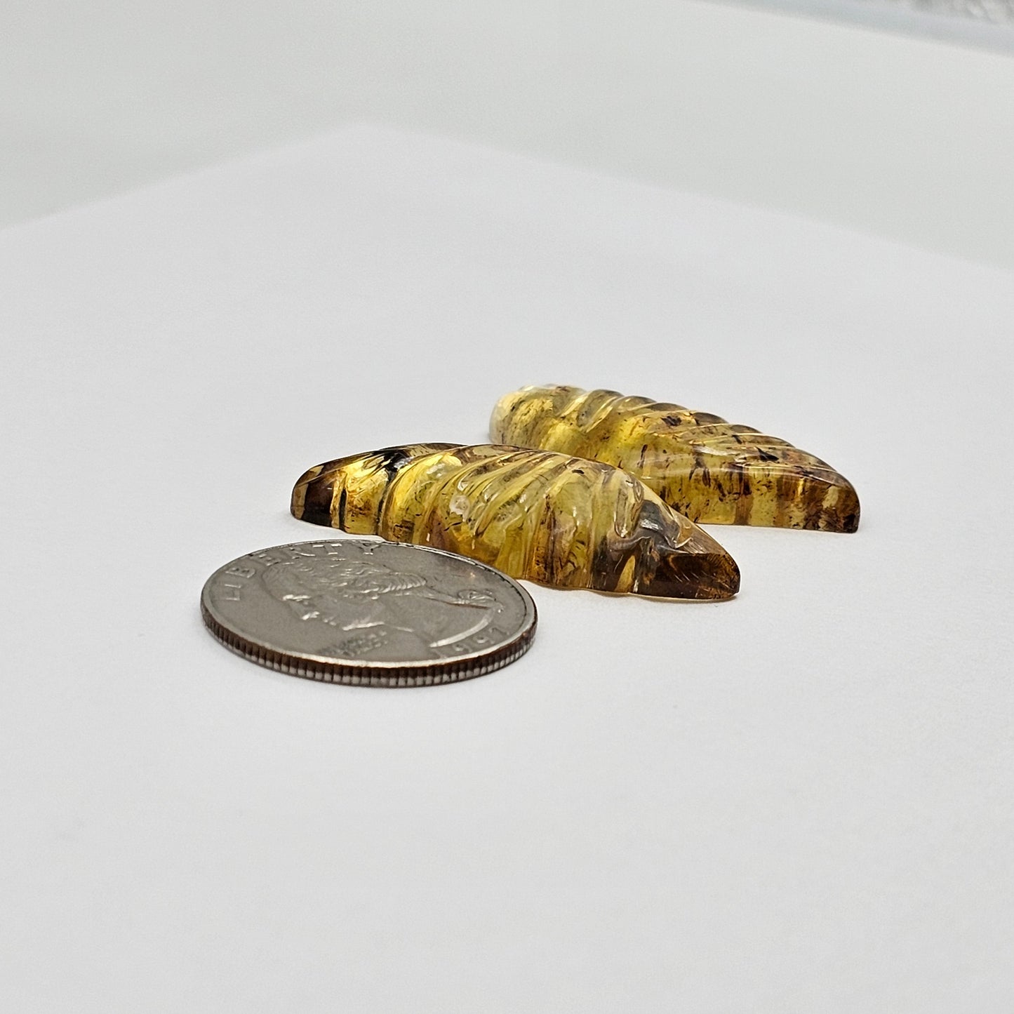 Amber authentic wings cabochon