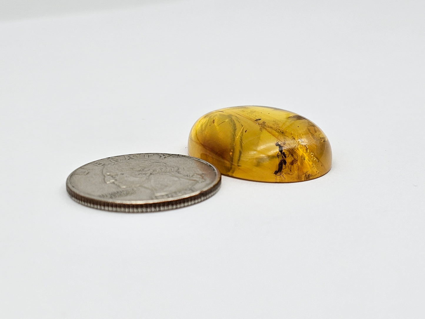 Real amber with insect inclusion