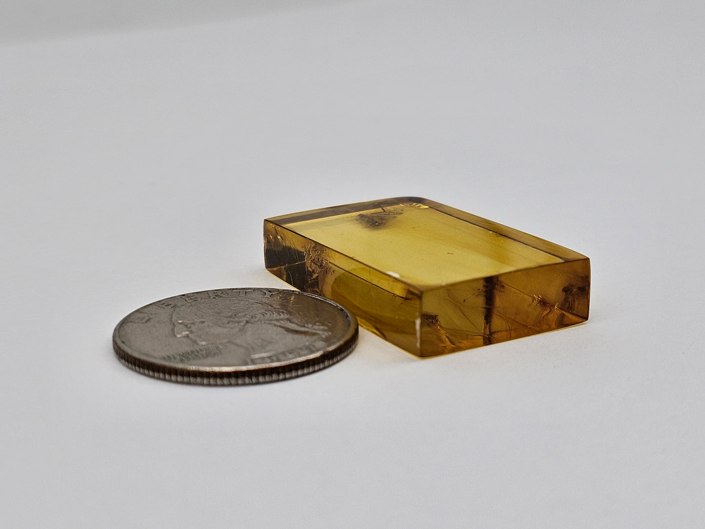 Amber Authentic Cabochon with Bug Inclusion