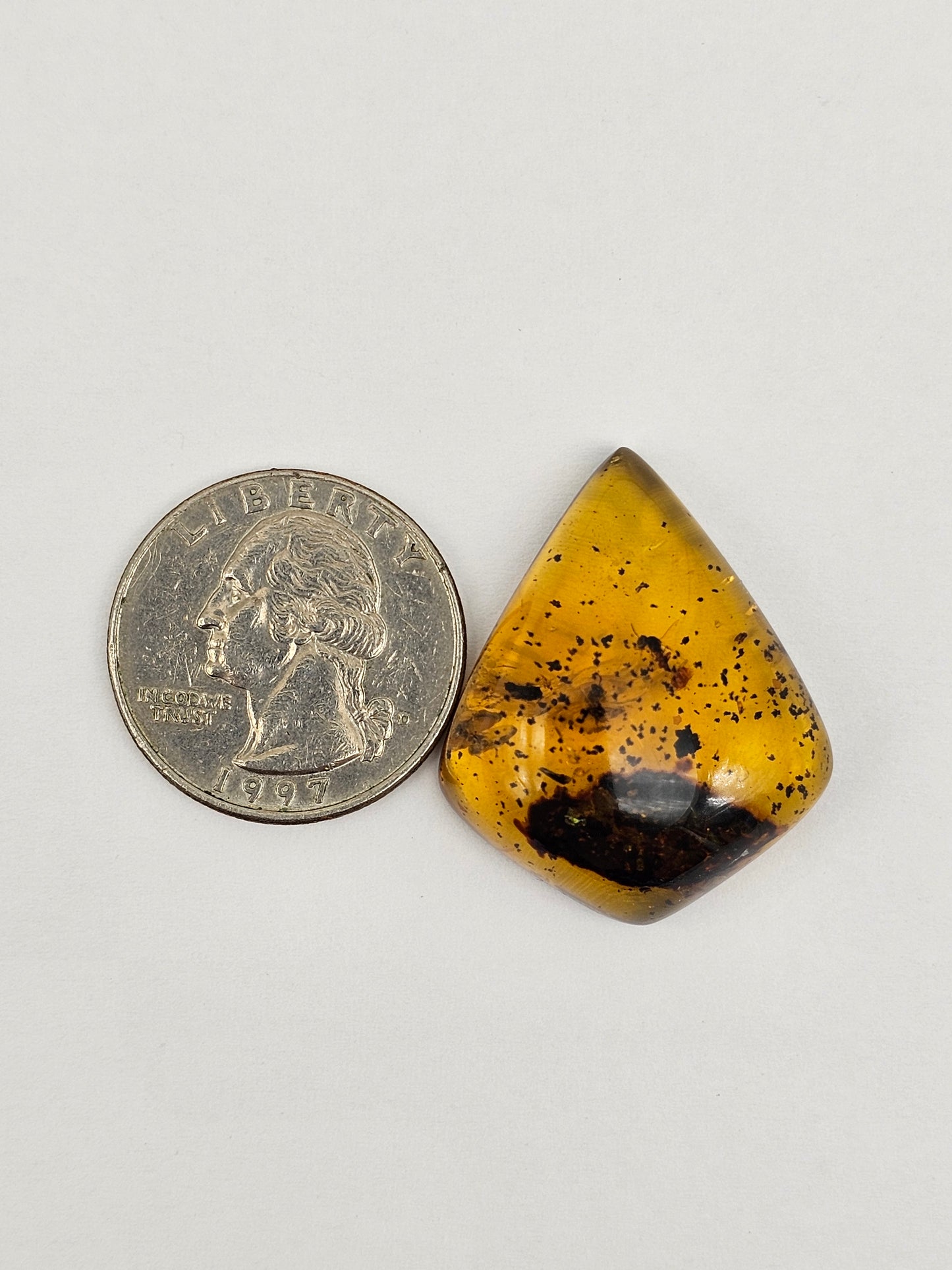 Amber Authentic Cabochon with Bug Inclusion