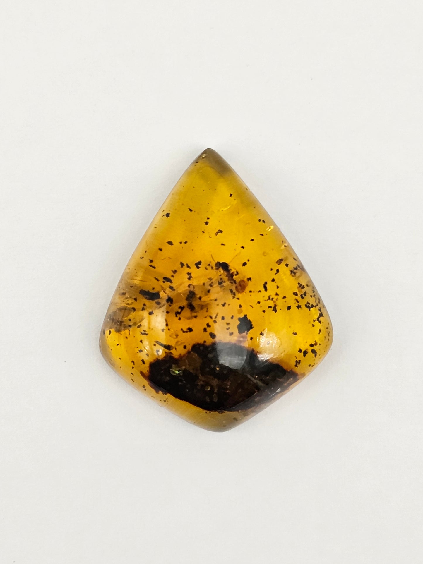 Amber Authentic Cabochon with Bug Inclusion
