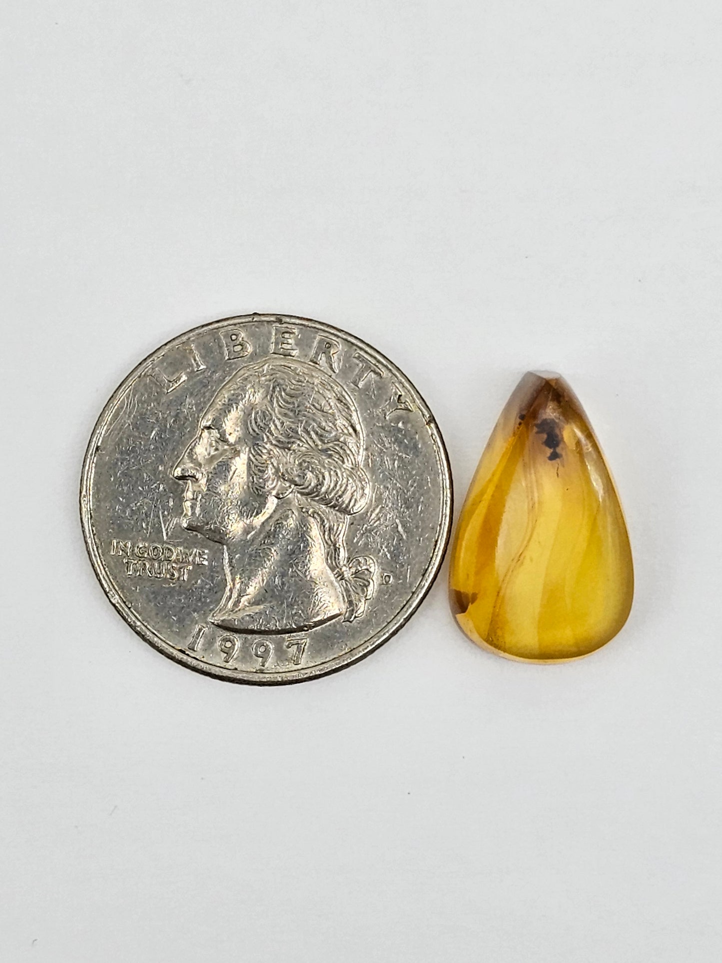 Amber Authentic Cabochon with Bug Inclusion