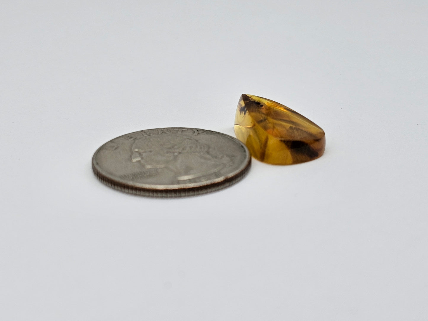 Amber Authentic Cabochon with Bug Inclusion