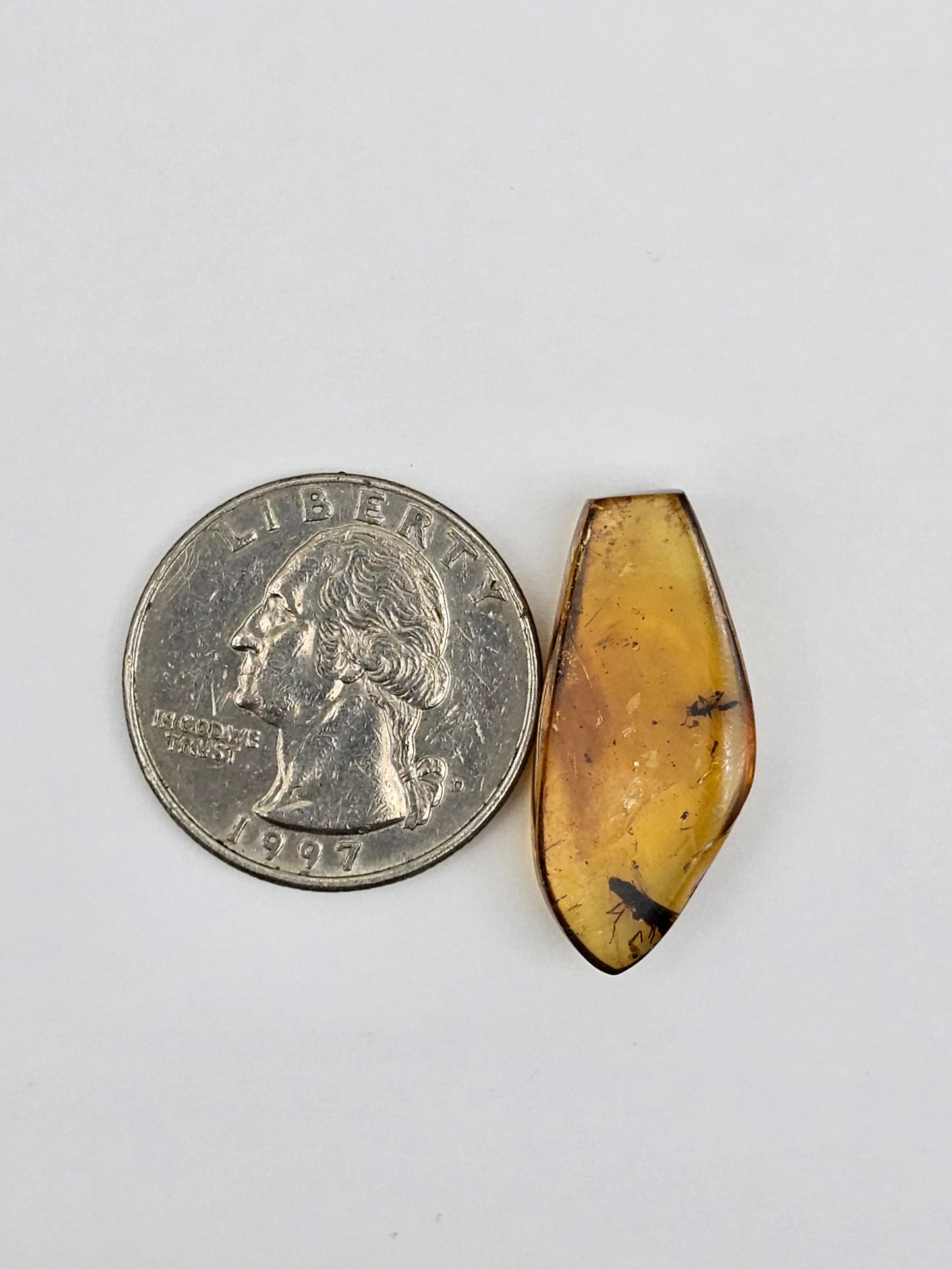 Amber Authentic Cabochon with Bug Inclusion
