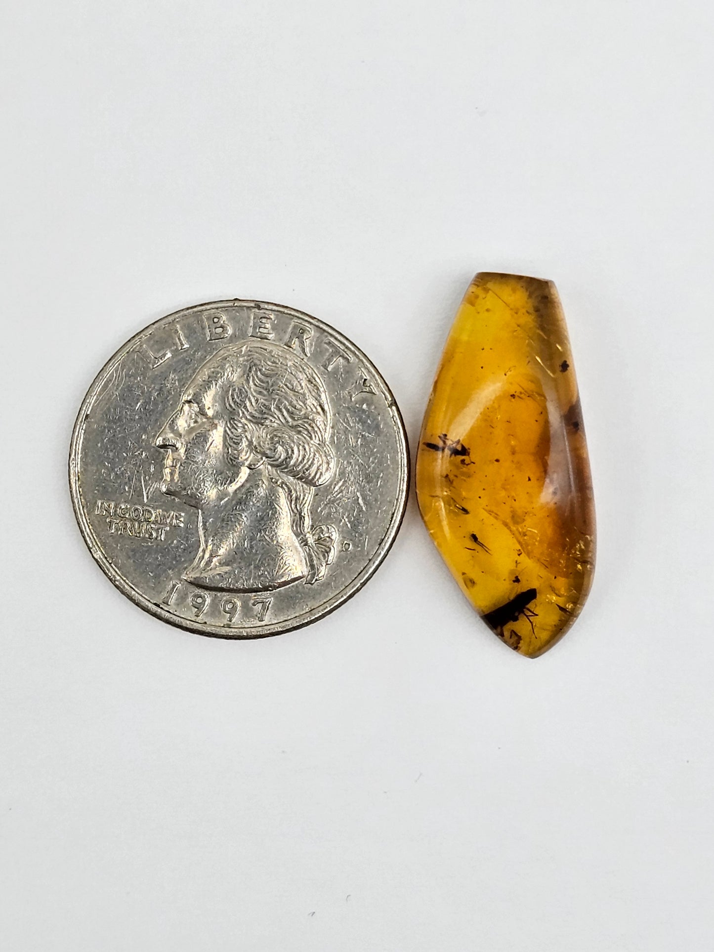Amber Authentic Cabochon with Bug Inclusion