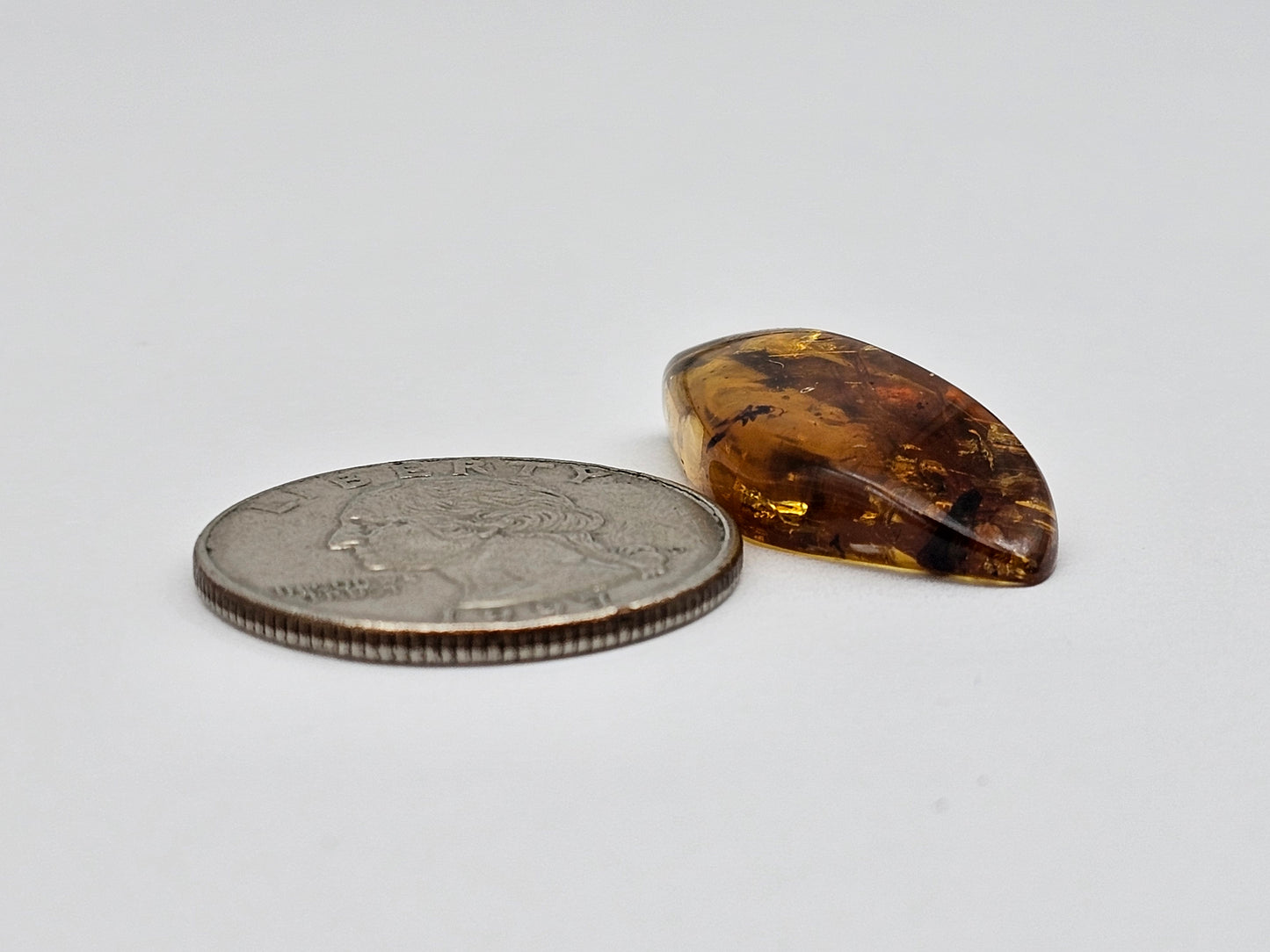 Amber Authentic Cabochon with Bug Inclusion