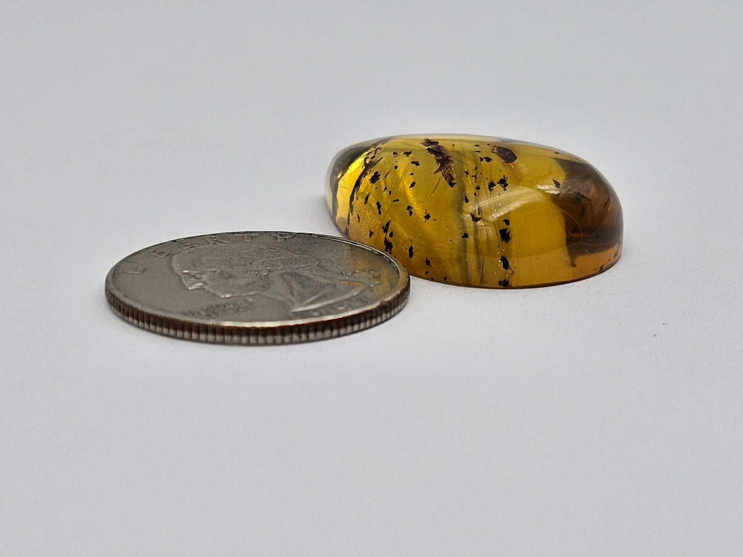 Amber Authentic Cabochon with Bug Inclusion